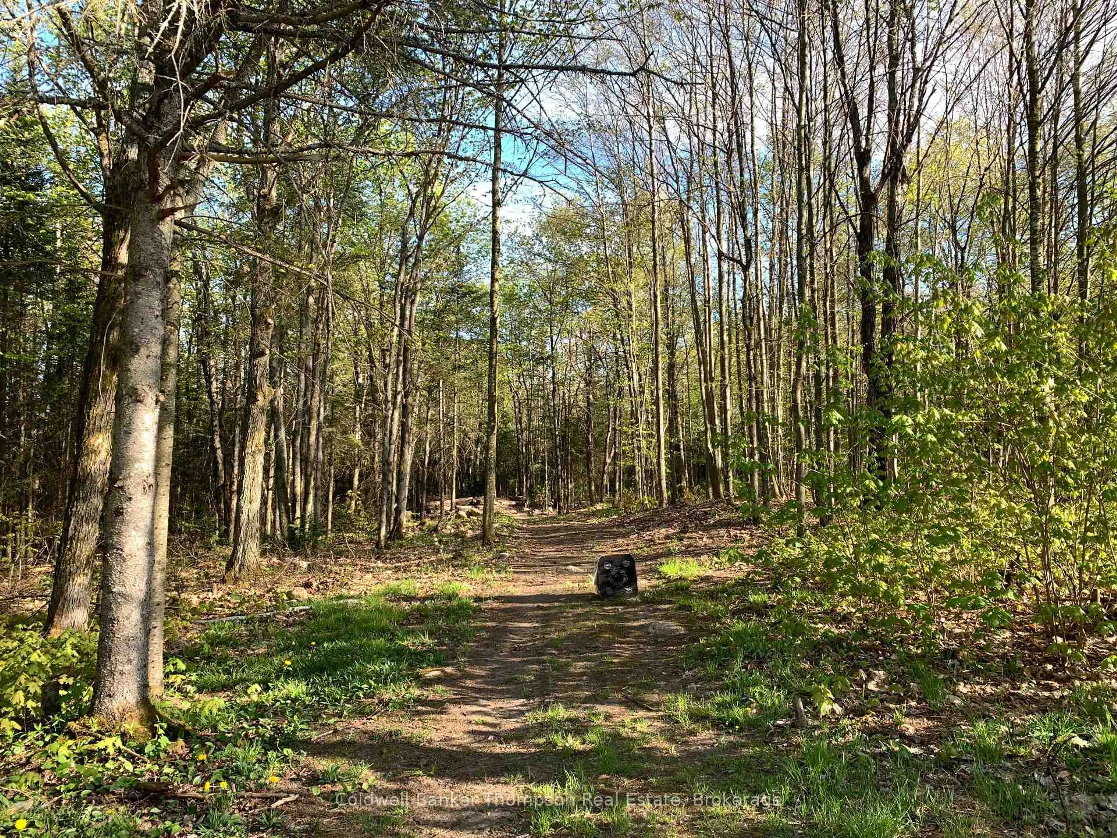 A pic from outside/outdoor area/front of a property/back of a property/a pic from drone, forest/trees view for 51 Chrest Dr, Machar Ontario P0A 1X0