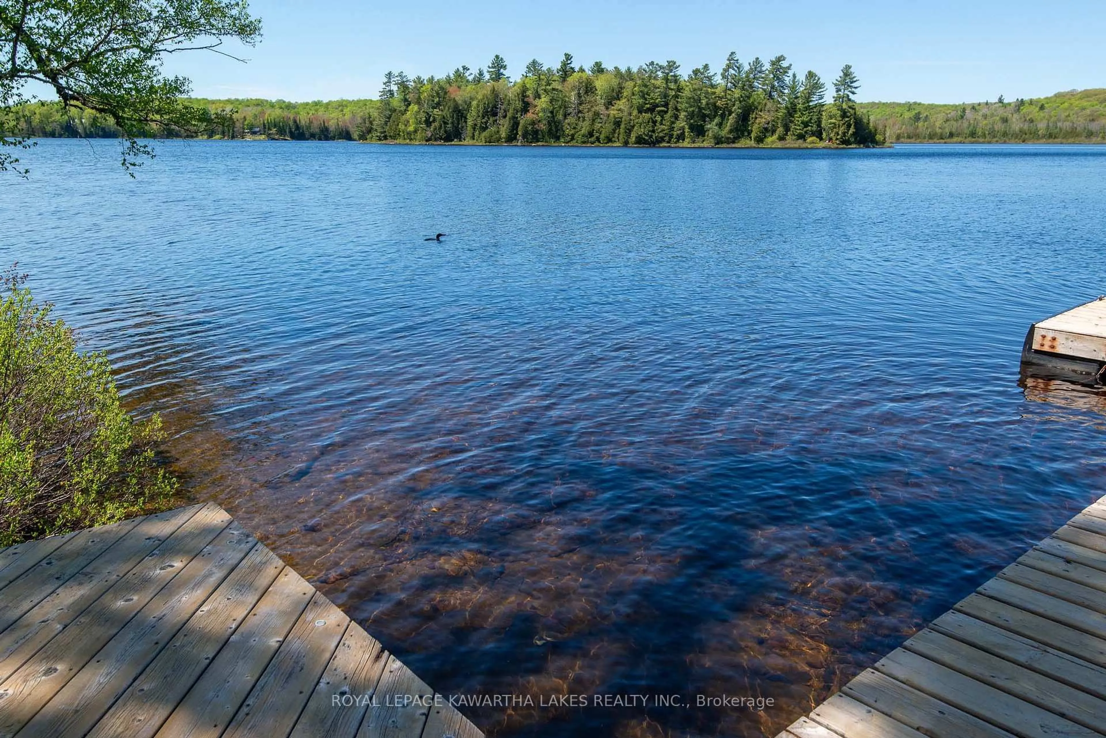 A pic from outside/outdoor area/front of a property/back of a property/a pic from drone, water/lake/river/ocean view for 1307 Adanac Rd, Highlands East Ontario K0L 1M0