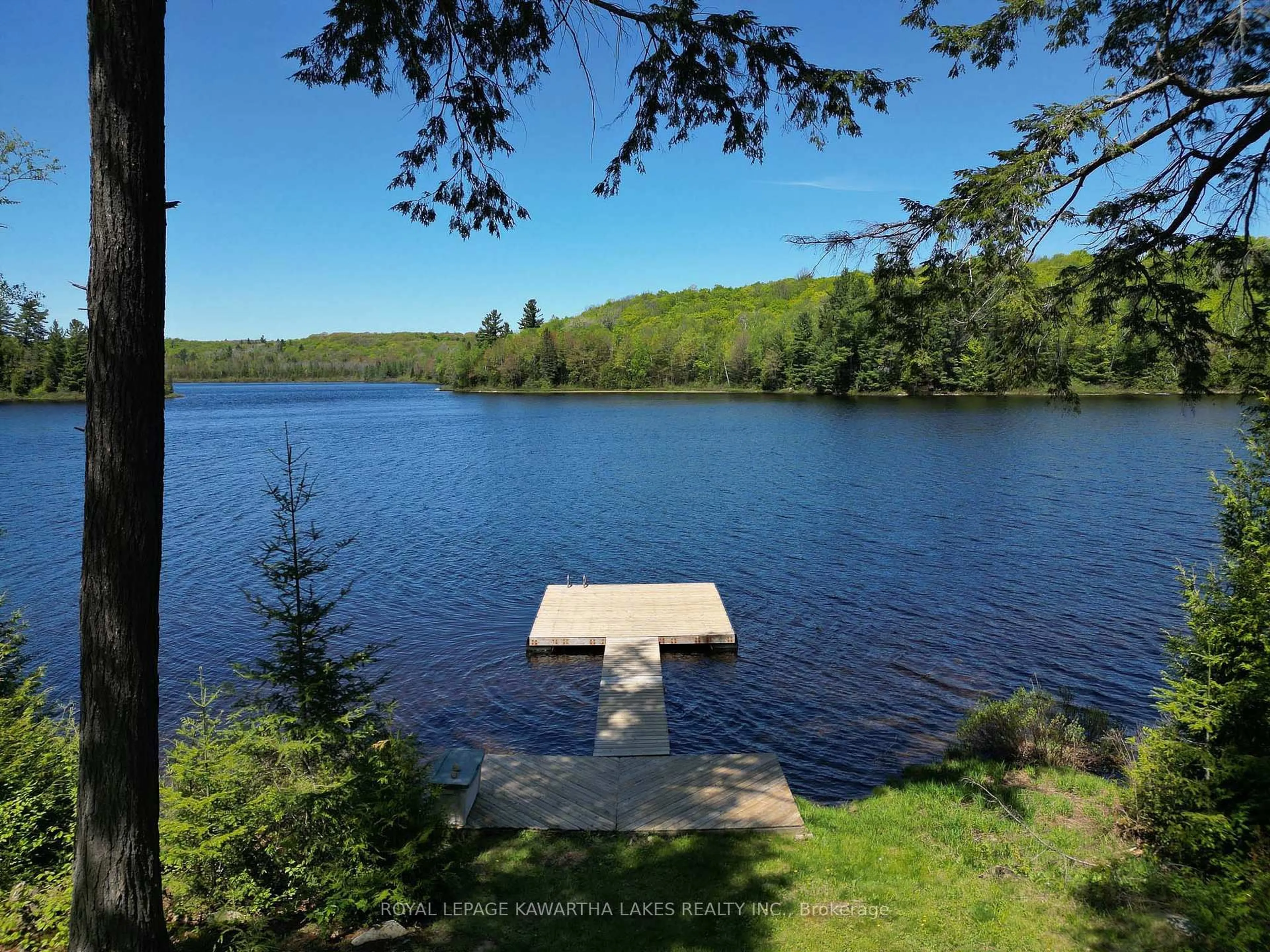 A pic from outside/outdoor area/front of a property/back of a property/a pic from drone, water/lake/river/ocean view for 1307 Adanac Rd, Highlands East Ontario K0L 1M0