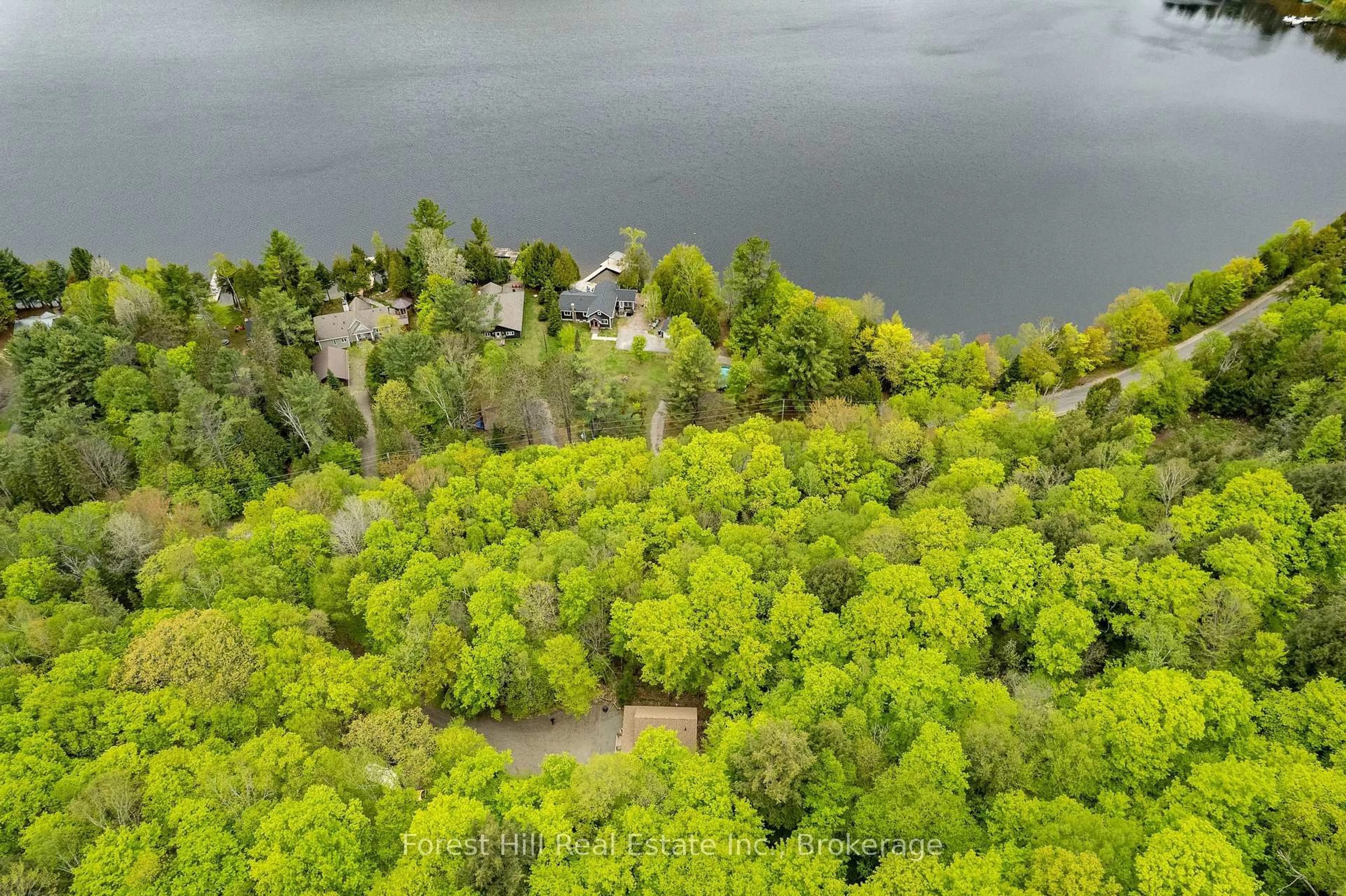 A pic from outside/outdoor area/front of a property/back of a property/a pic from drone, water/lake/river/ocean view for 1175 Paint Lake Rd, Lake of Bays Ontario P0A 1E0