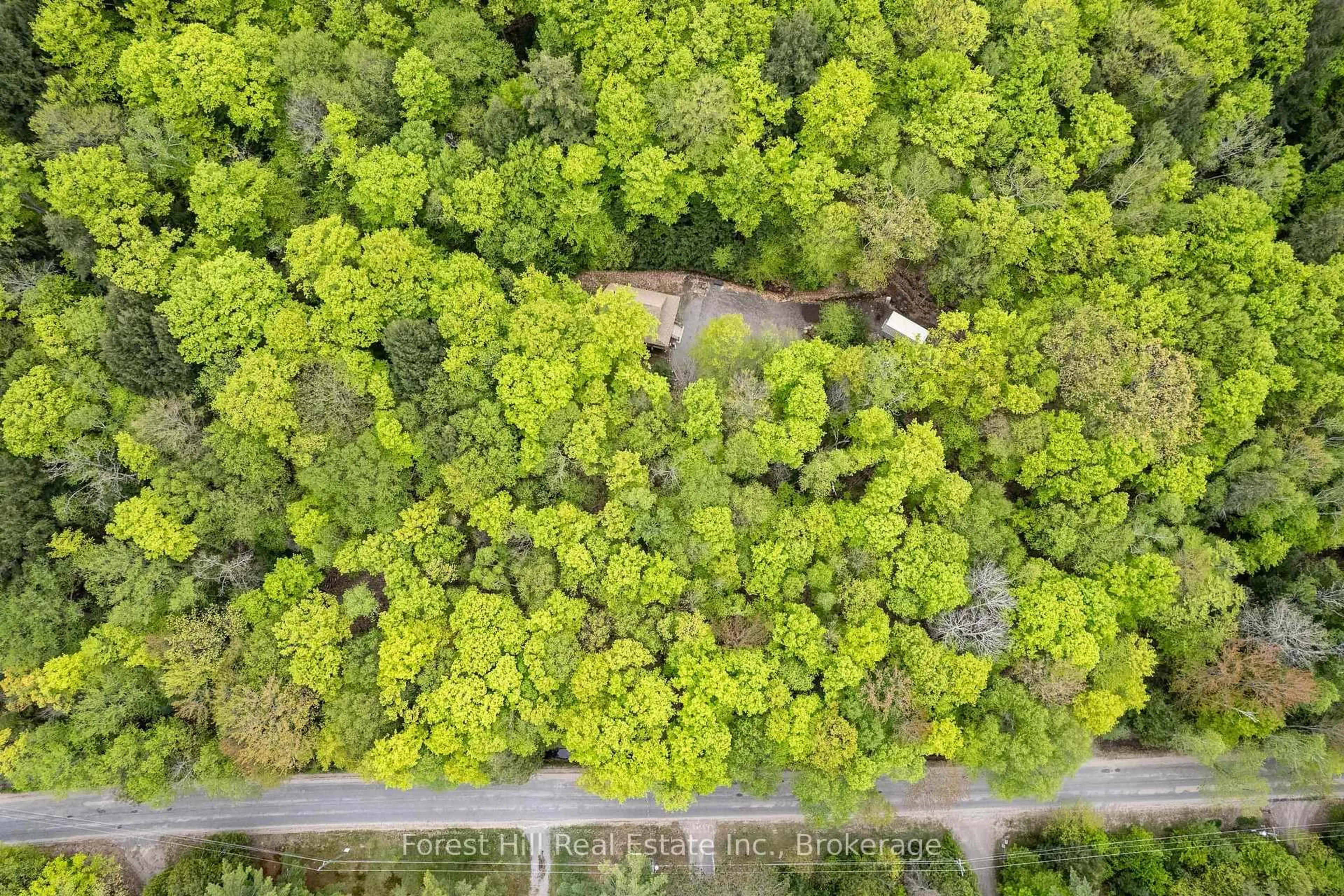 A pic from outside/outdoor area/front of a property/back of a property/a pic from drone, forest/trees view for 1175 Paint Lake Rd, Lake of Bays Ontario P0A 1E0