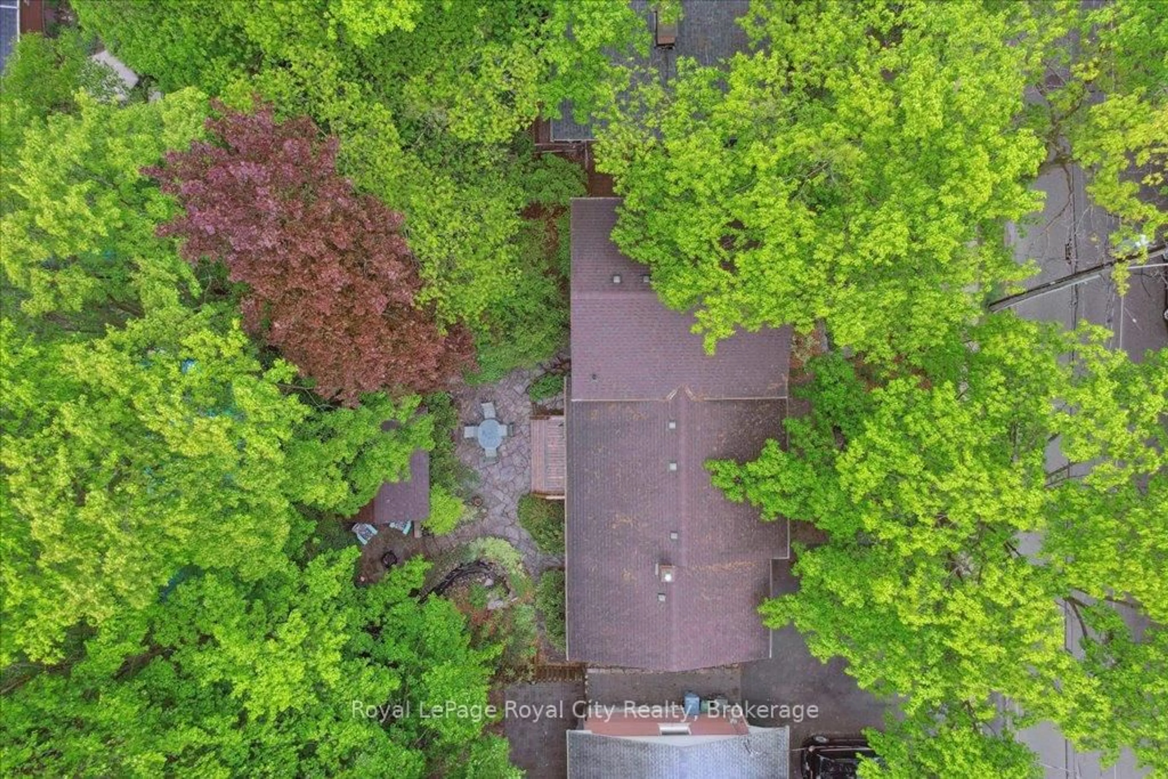 A pic from outside/outdoor area/front of a property/back of a property/a pic from drone, forest/trees view for 229 Water St, Guelph Ontario N1G 1B4