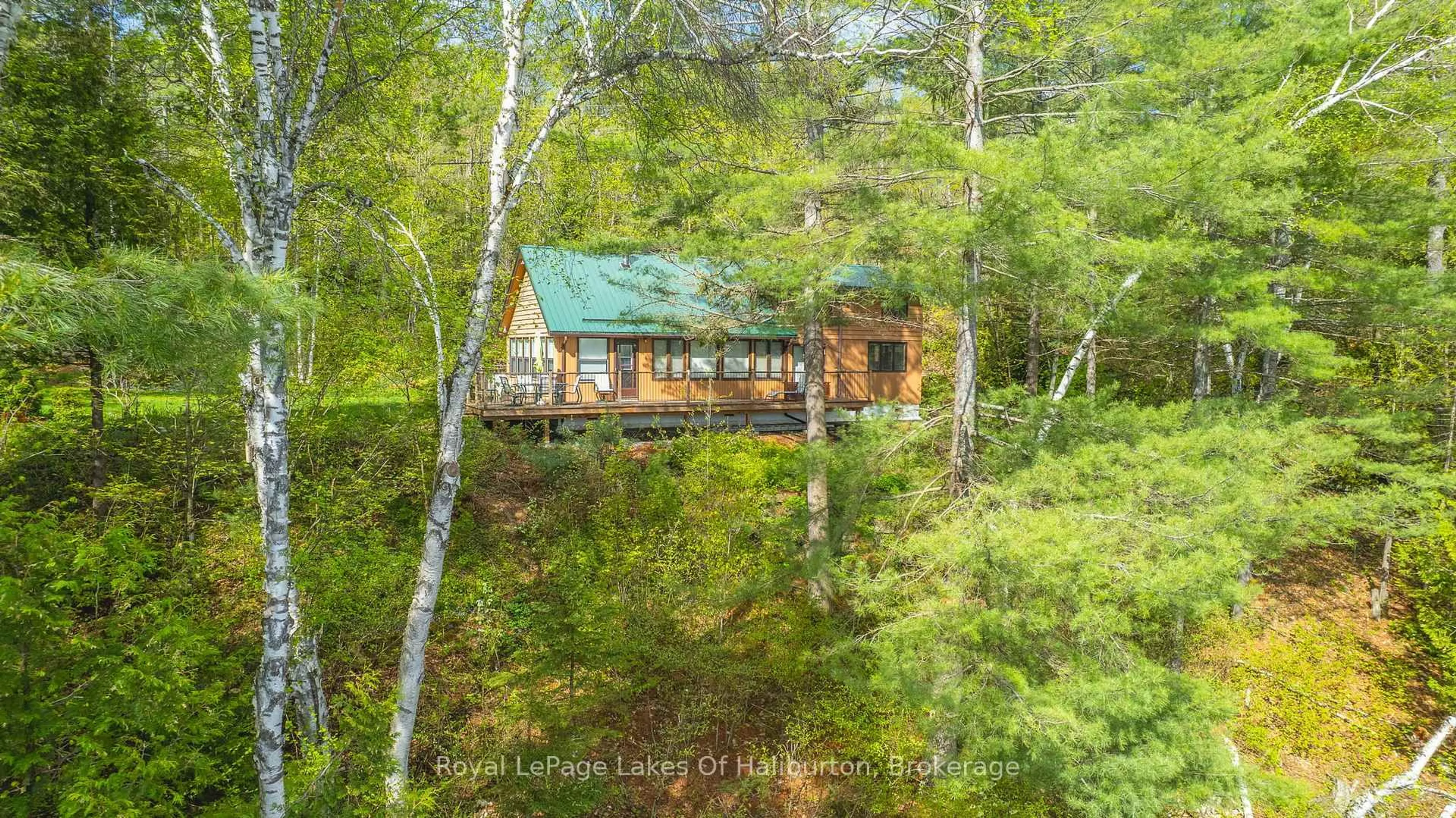 A pic from outside/outdoor area/front of a property/back of a property/a pic from drone, forest/trees view for 1029 Cam-Walt Tr, Minden Hills Ontario K0M 2K0