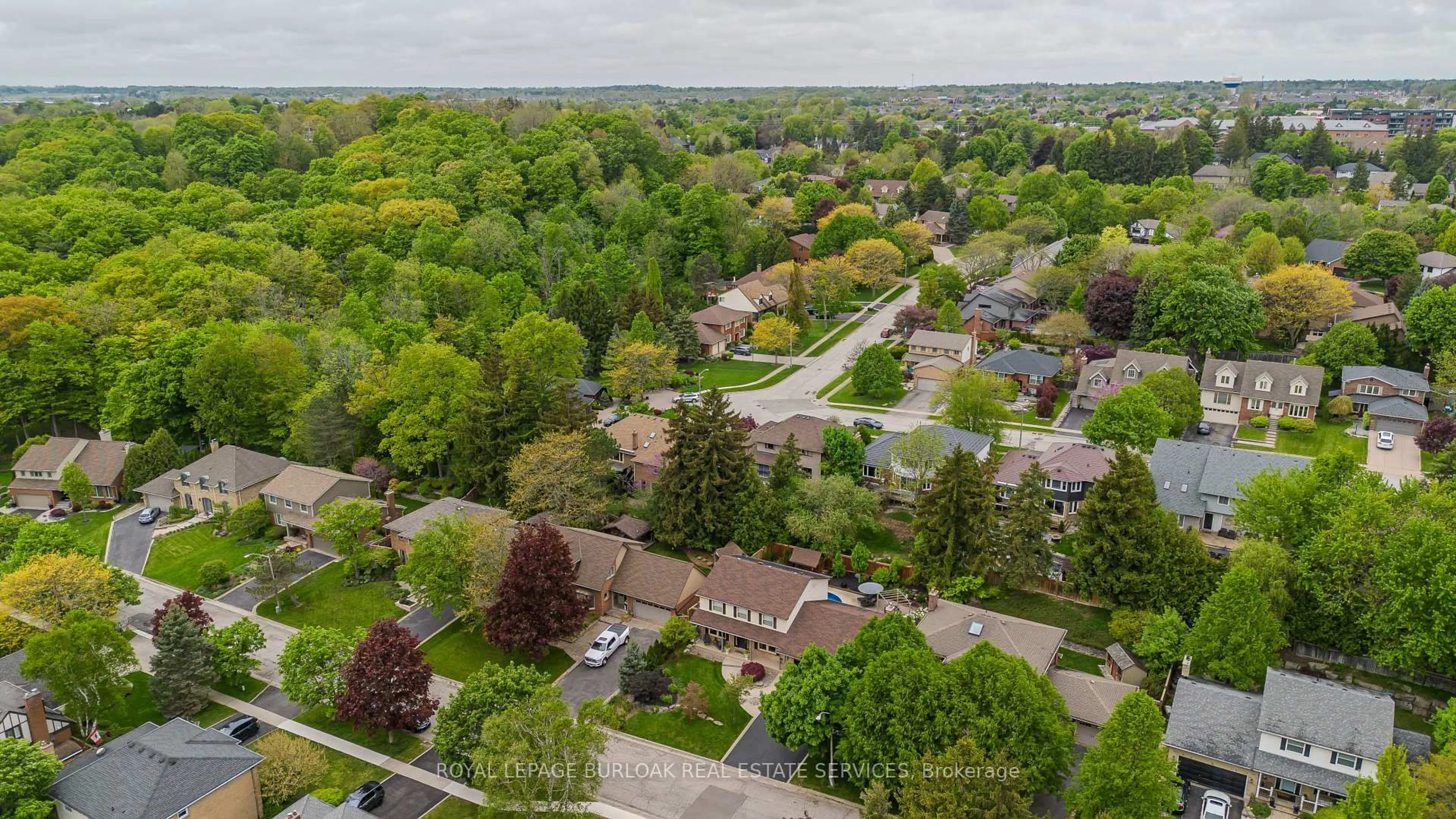 A pic from outside/outdoor area/front of a property/back of a property/a pic from drone, street for 6 Carl Cres, Hamilton Ontario L0R 2H4