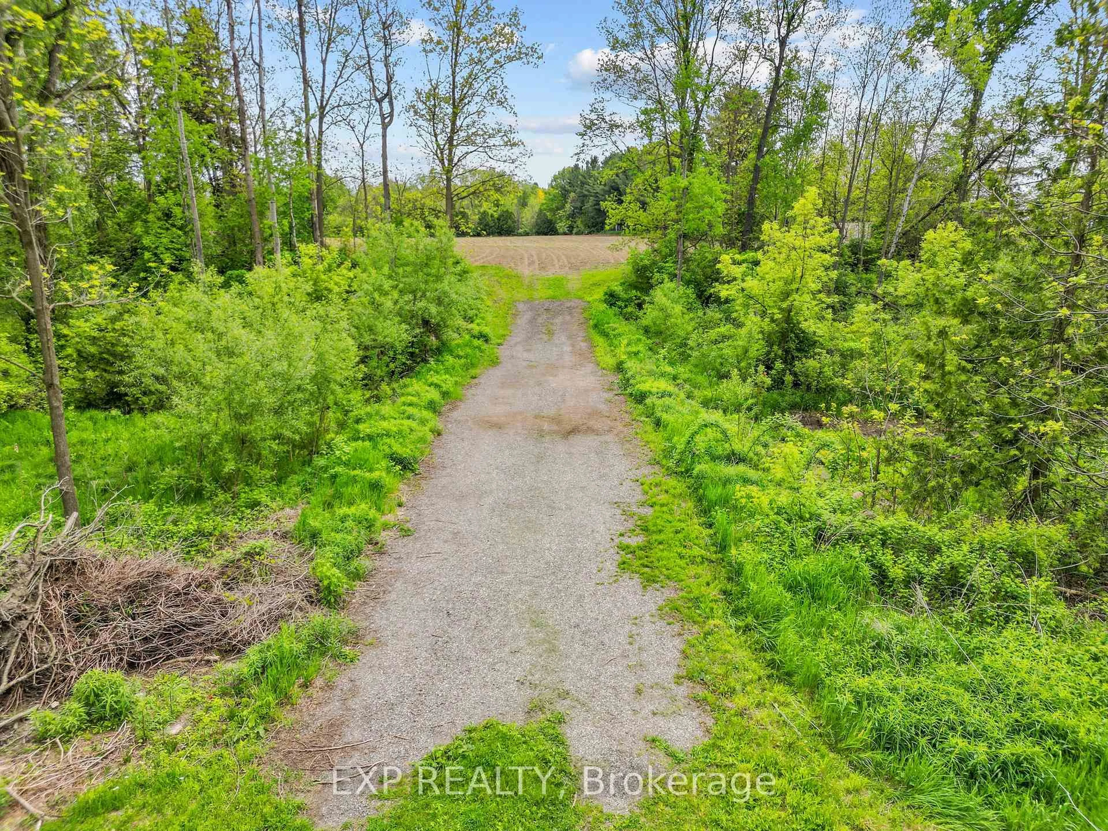 A pic from outside/outdoor area/front of a property/back of a property/a pic from drone, forest/trees view for 3109 Napperton Dr, Adelaide Metcalfe Ontario N7G 3H8