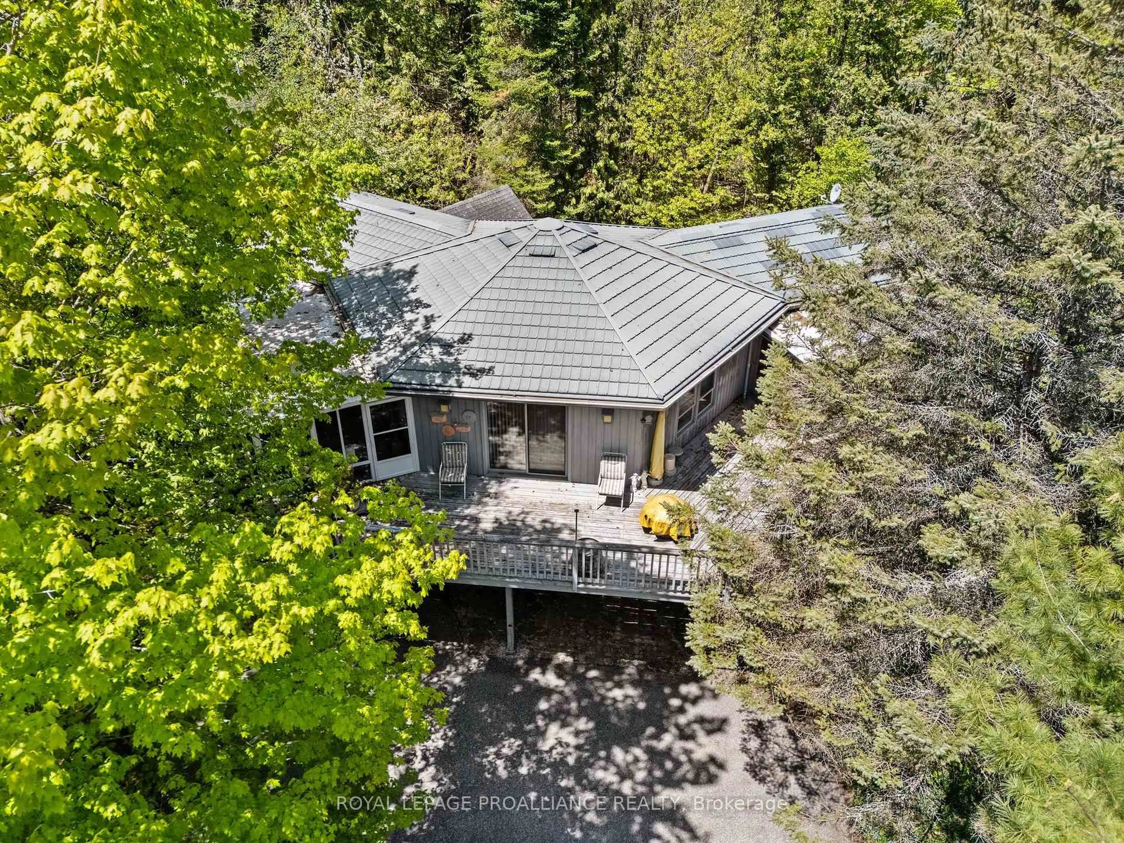 A pic from outside/outdoor area/front of a property/back of a property/a pic from drone, forest/trees view for 39 Shadow Lake Rd 3, Kawartha Lakes Ontario K0M 1K0
