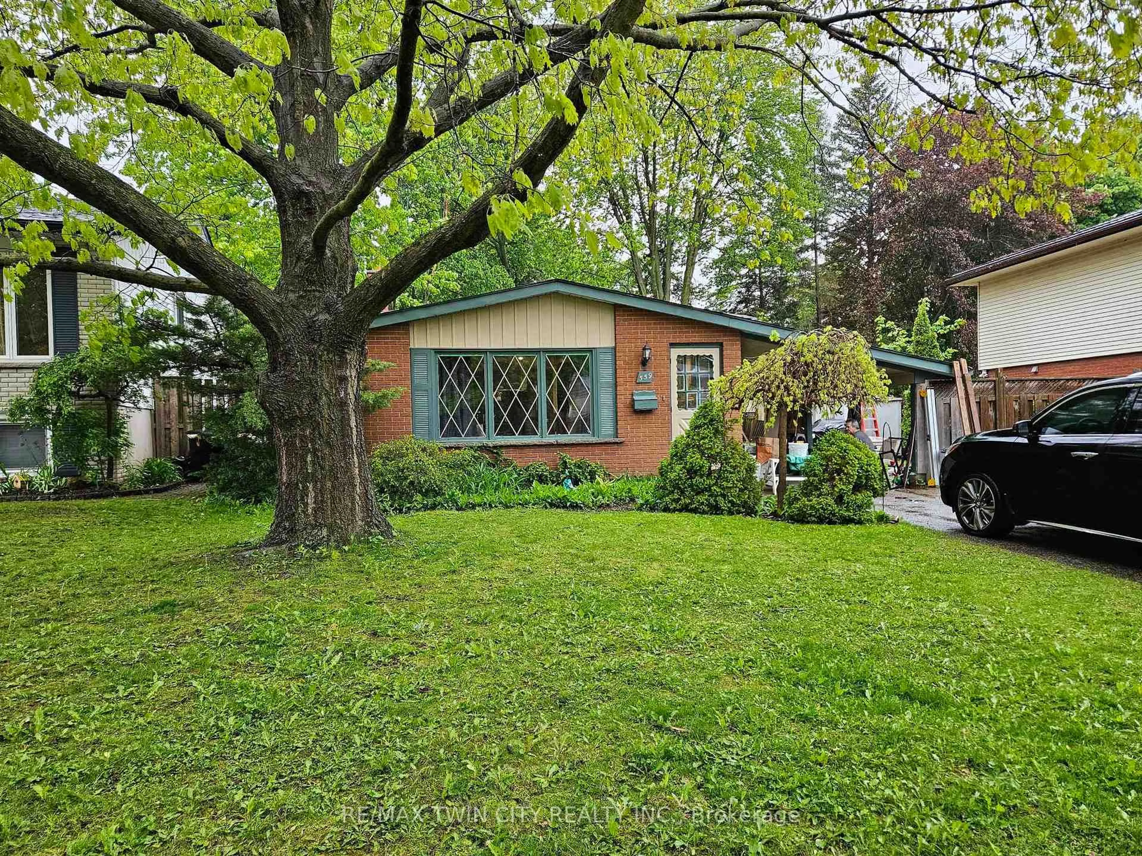 Unknown for 559 Sprucehill Ave, Waterloo Ontario N2L 4V8