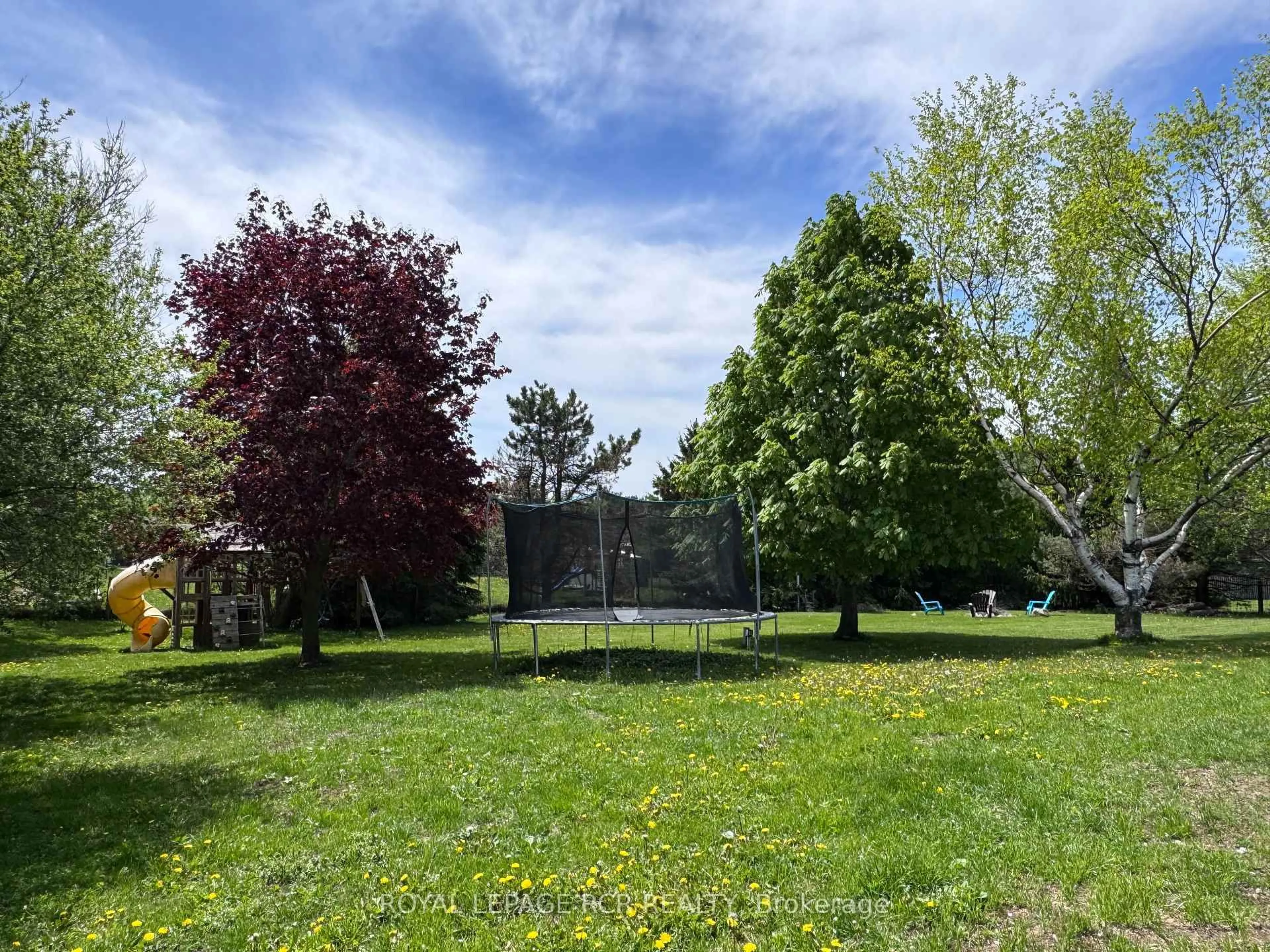 A pic from outside/outdoor area/front of a property/back of a property/a pic from drone, forest/trees view for 18 Peter St, Amaranth Ontario L9W 5Z8