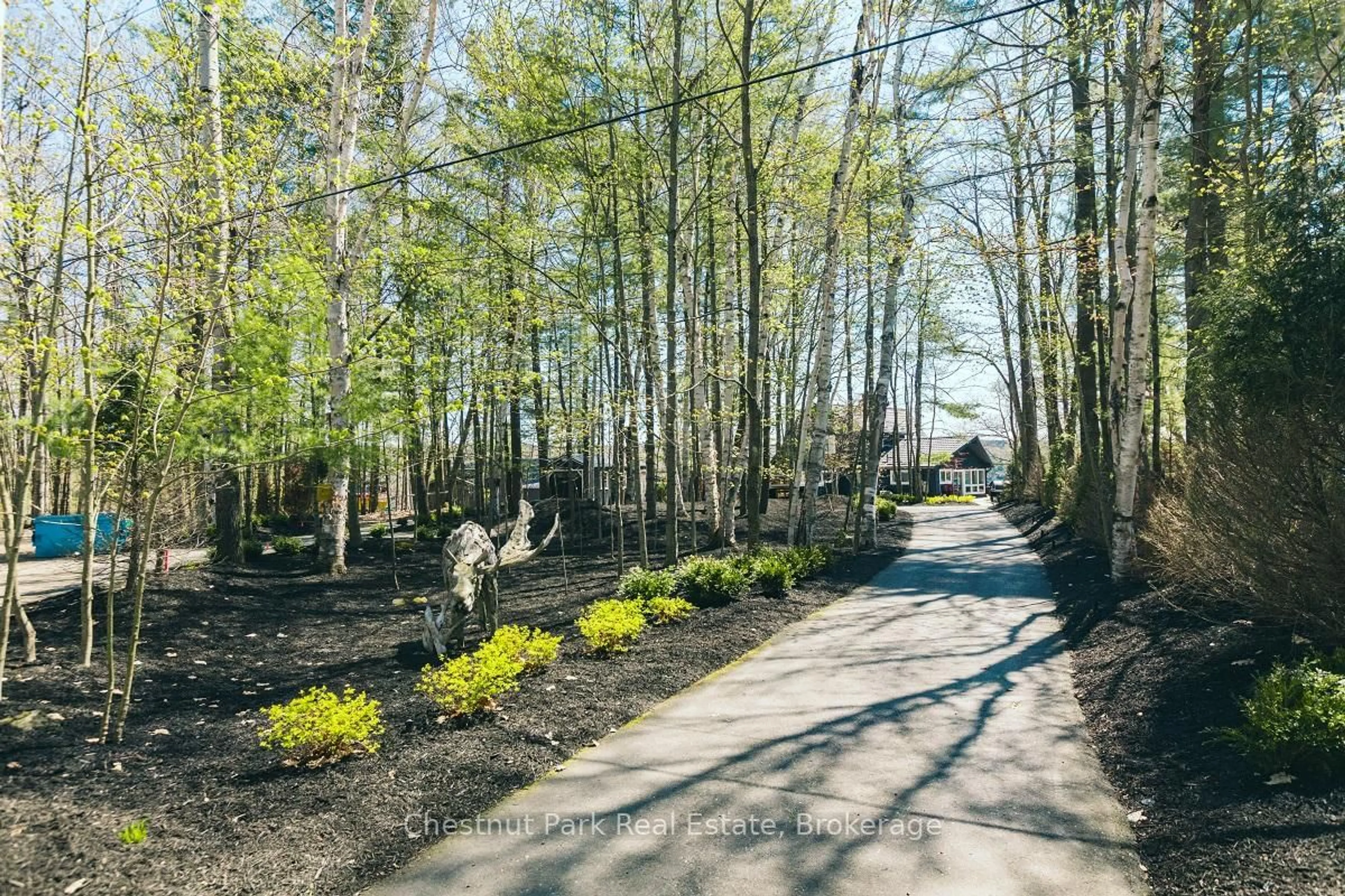 Patio, forest/trees view for 1007 Sagamo Blvd, Muskoka Lakes Ontario P0B 1J0