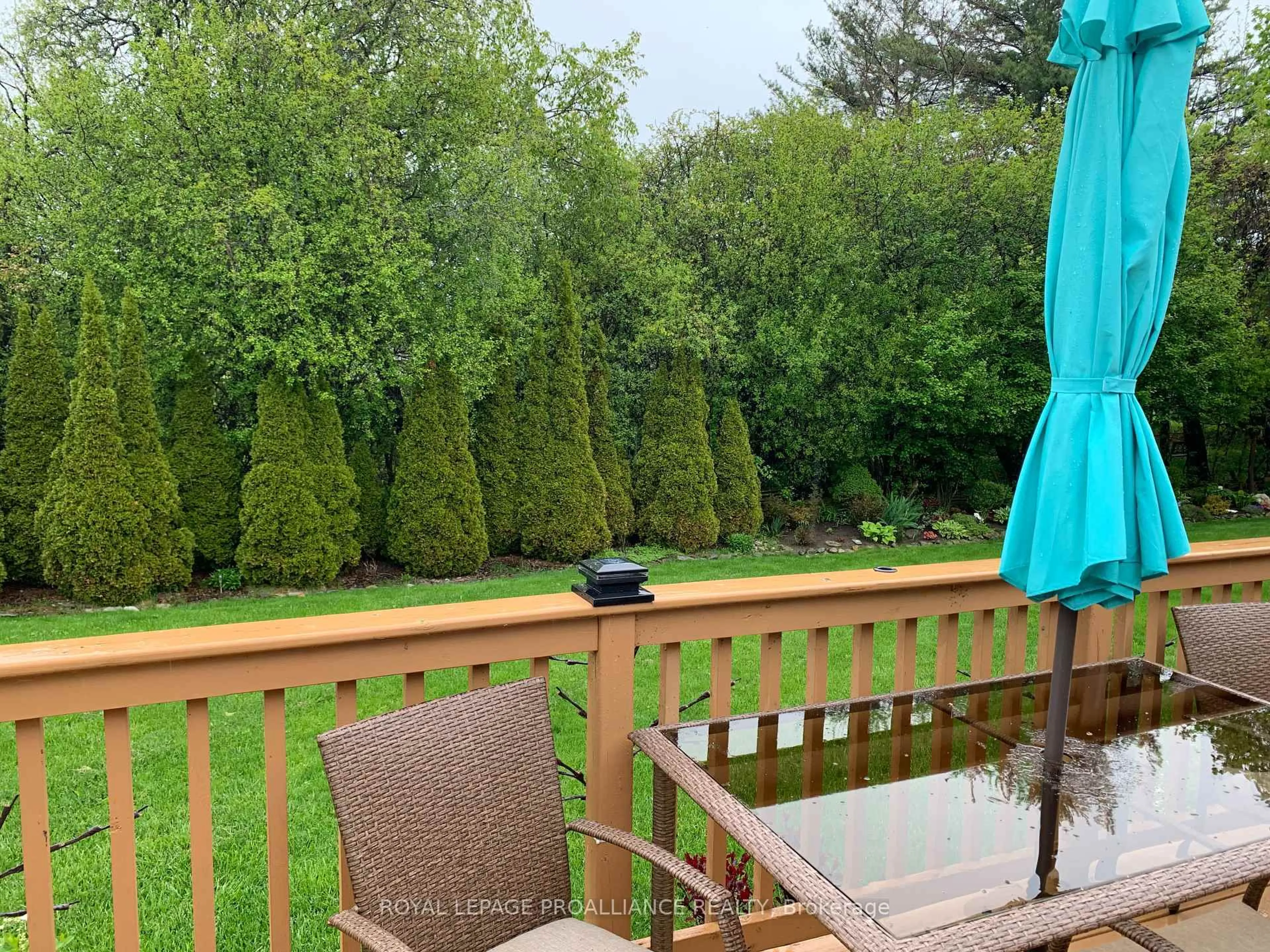 A pic from outside/outdoor area/front of a property/back of a property/a pic from drone, forest/trees view for 15 Claramount Crt, Prince Edward County Ontario K0K 3L0