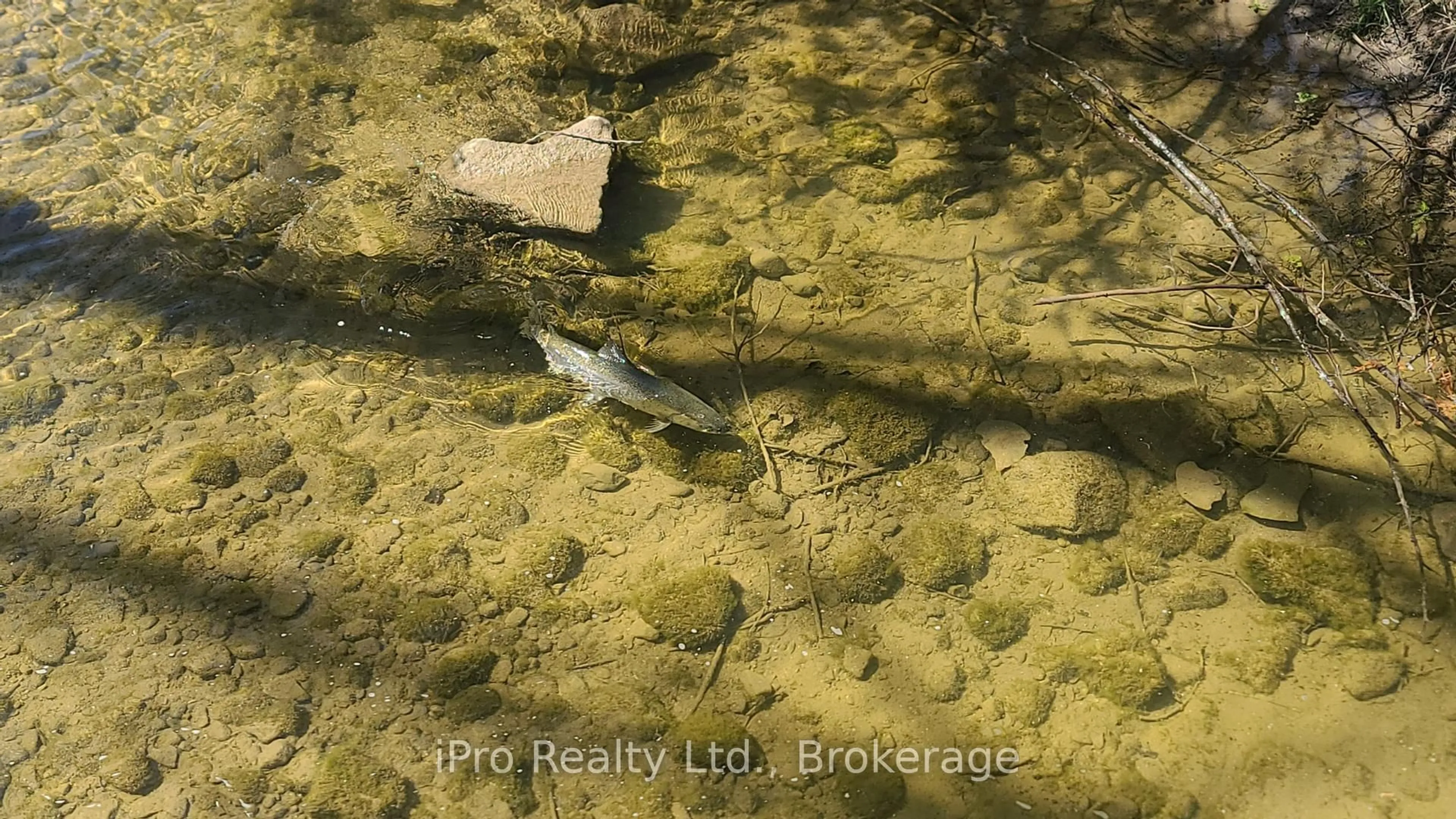 A pic from outside/outdoor area/front of a property/back of a property/a pic from drone, street for 44 RED CEDAR Dr, Kincardine Ontario N0G 2T0