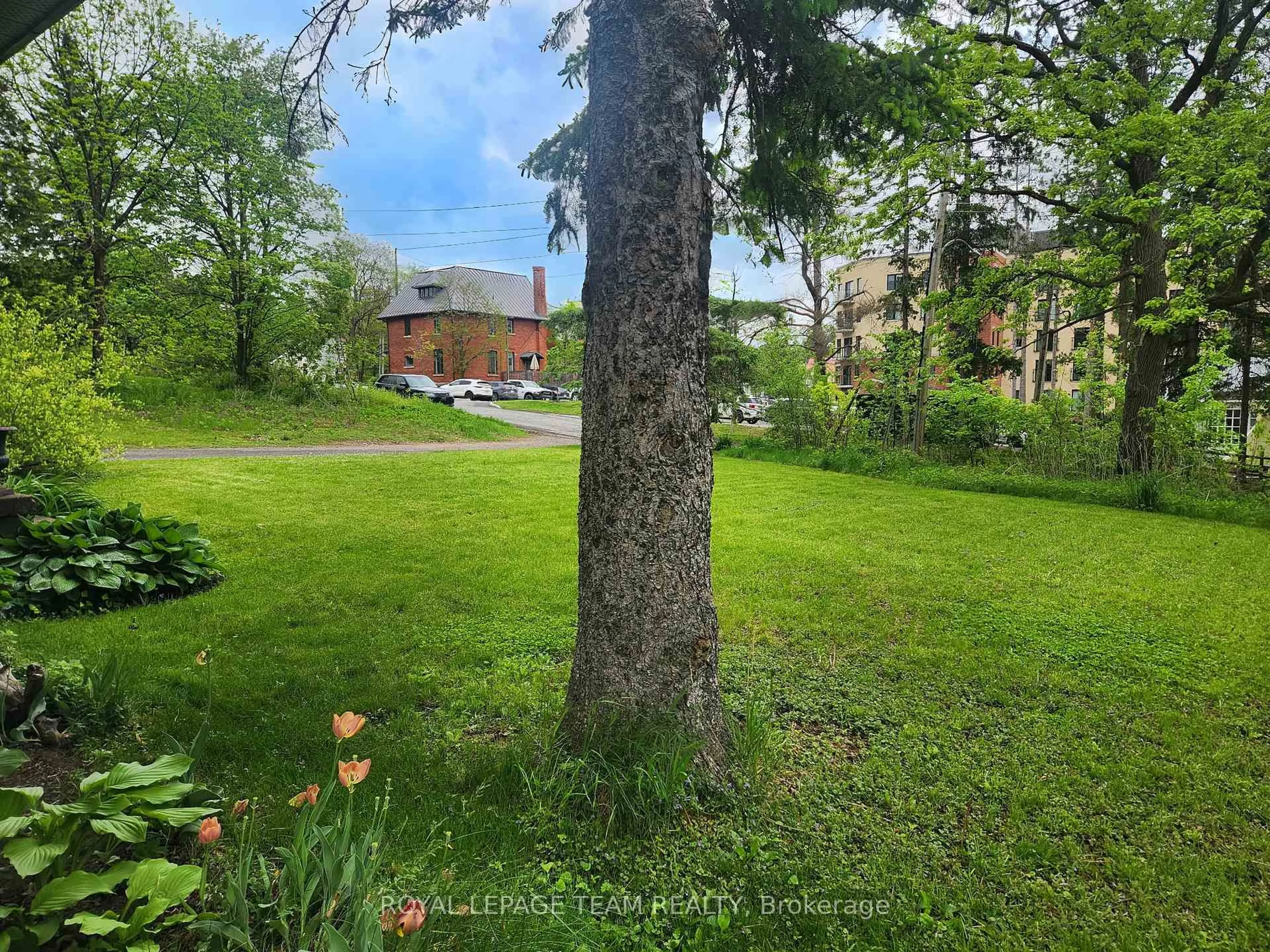 A pic from outside/outdoor area/front of a property/back of a property/a pic from drone, forest/trees view for 104 Falldown Lane, Carp Ontario K0A 1L0