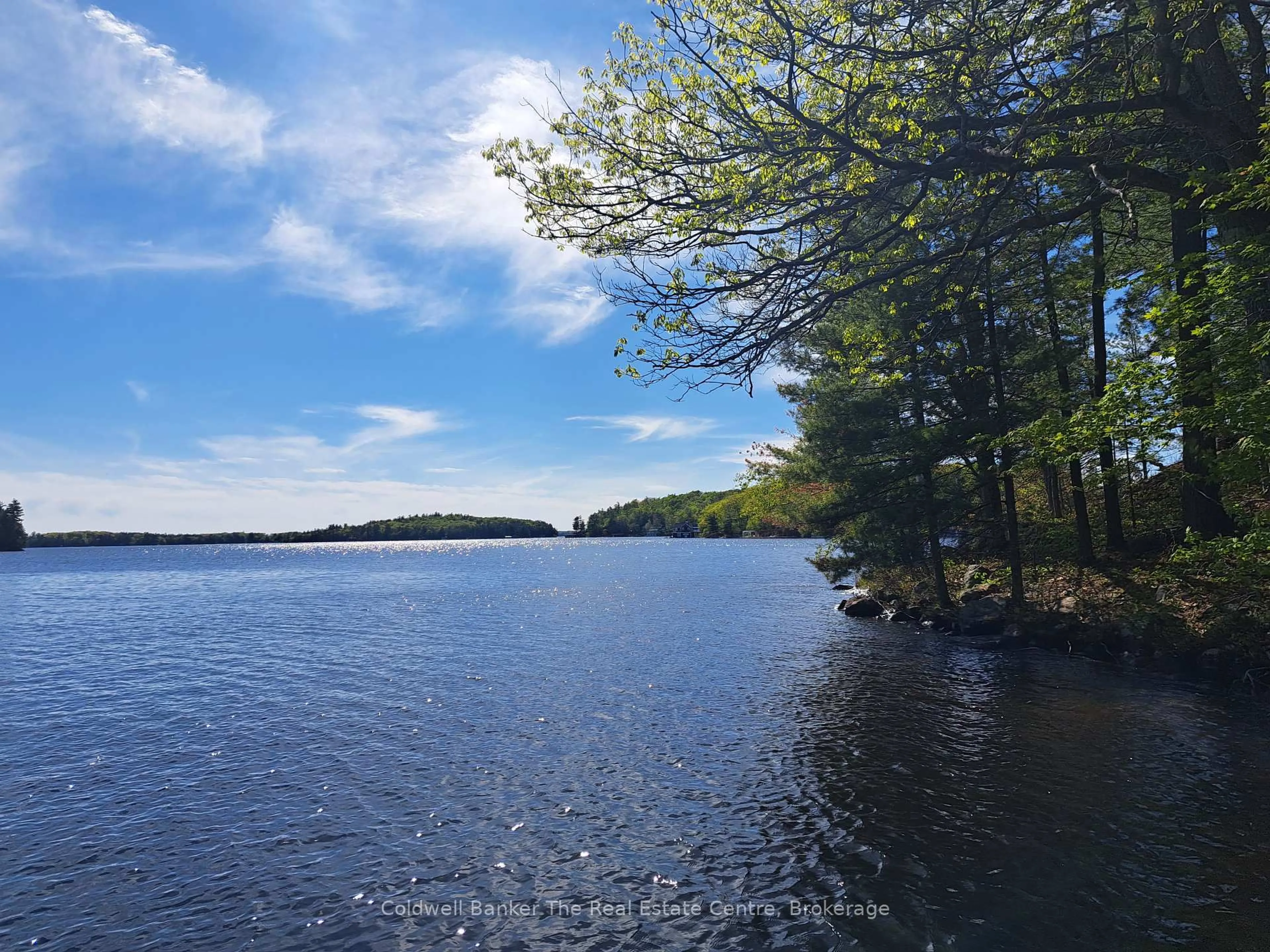 Unknown for 1519 Muskoka Rd 118 Rd #15, Muskoka Lakes Ontario P1L 1W8