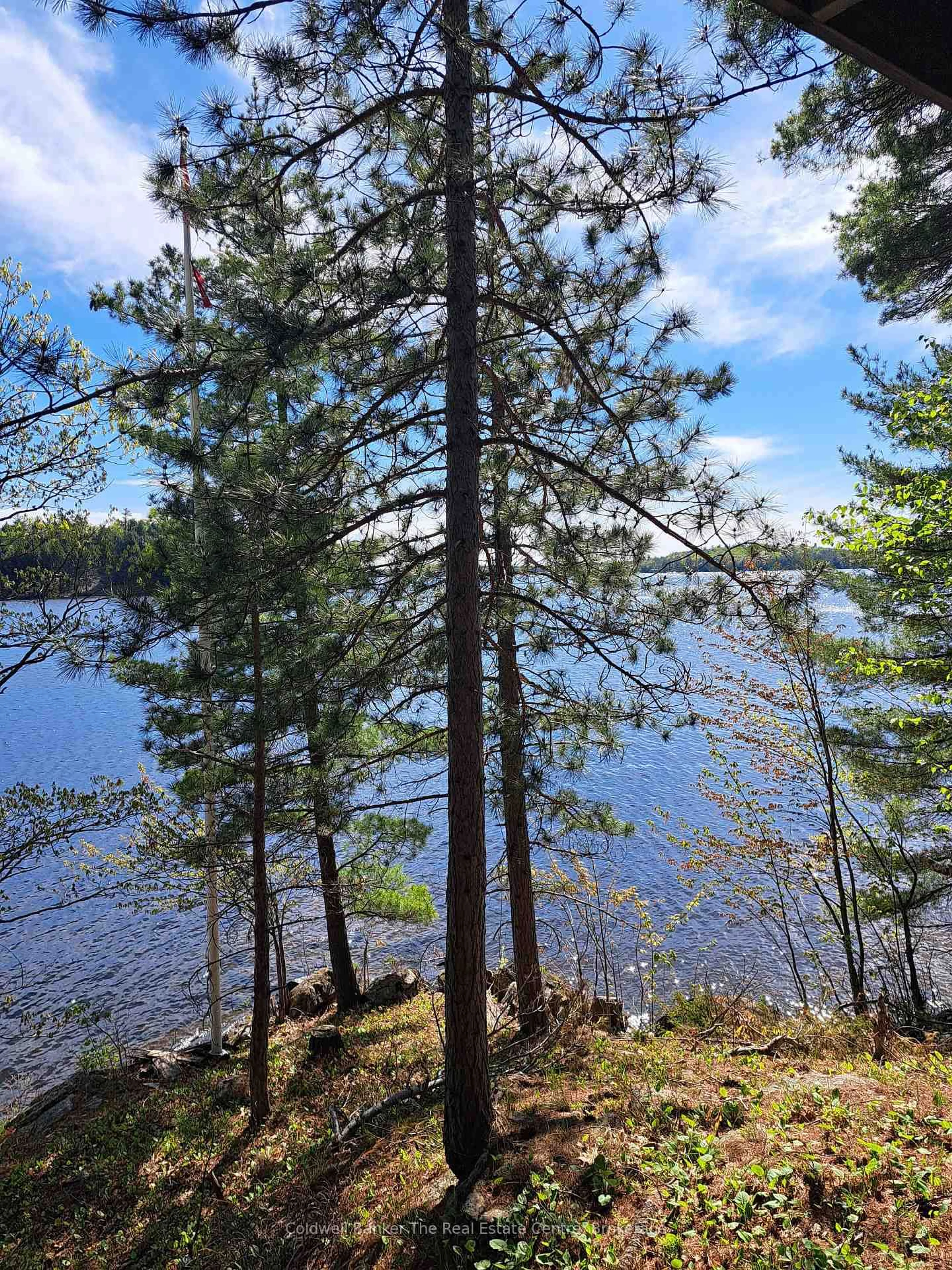 Unknown for 1519 Muskoka Rd 118 Rd #15, Muskoka Lakes Ontario P1L 1W8
