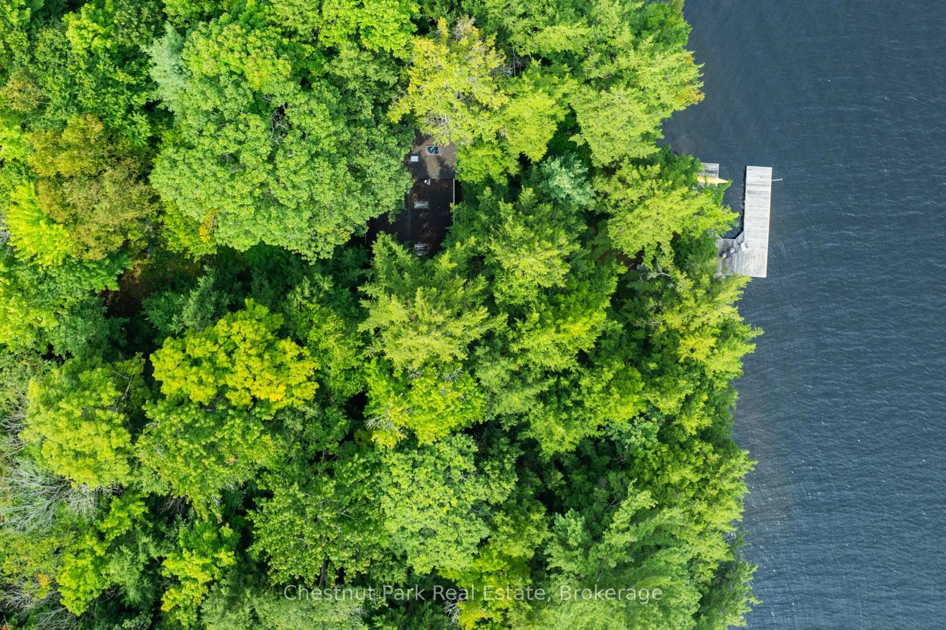 A pic from outside/outdoor area/front of a property/back of a property/a pic from drone, forest/trees view for 1029 Ham Rd #2, Muskoka Lakes Ontario P0C 1A0