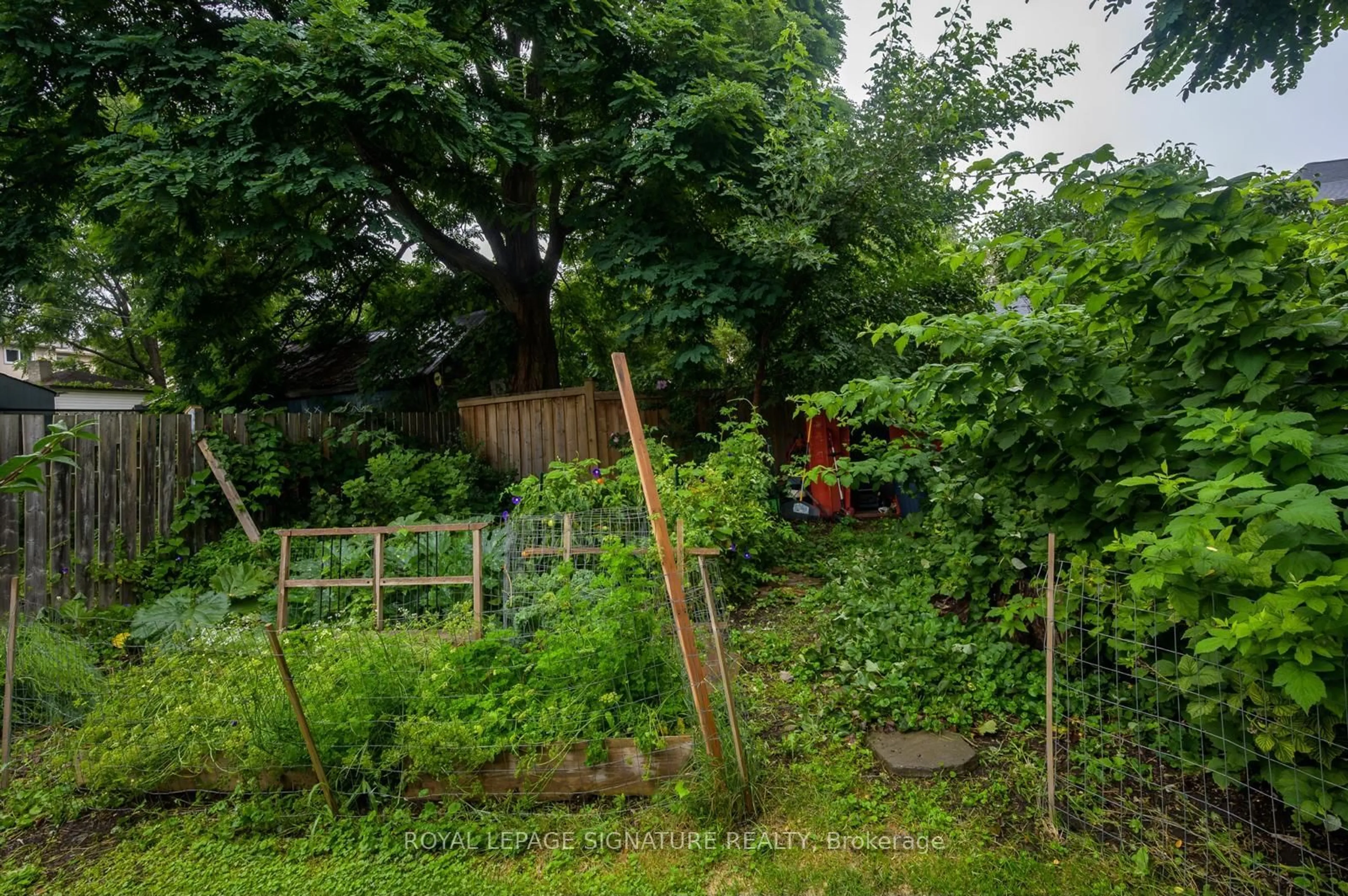 Shed for 19 Strachan St, Hamilton Ontario L8S 1S4