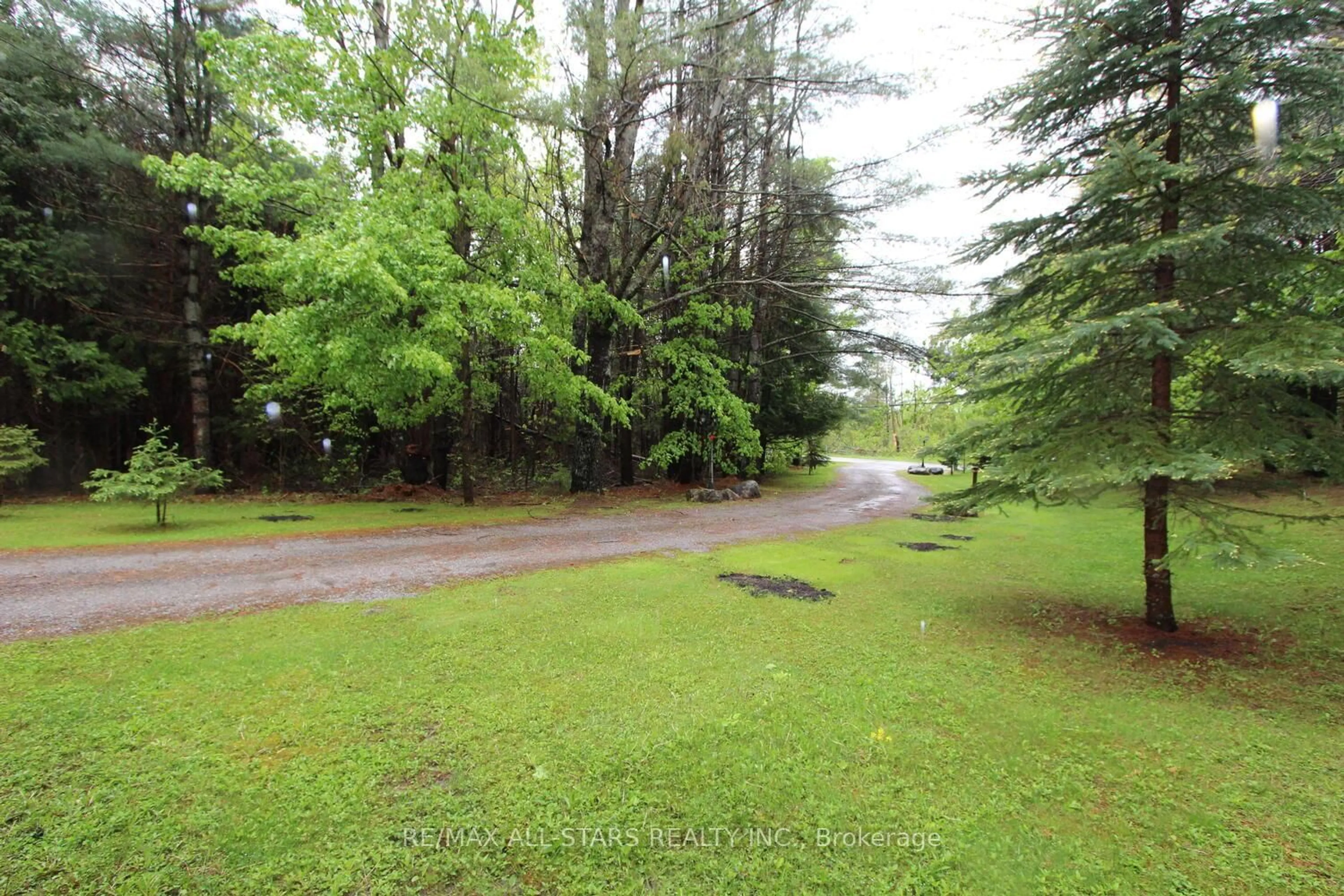 Patio, forest/trees view for 33 Tates Bay Rd, Trent Lakes Ontario K0M 1A0