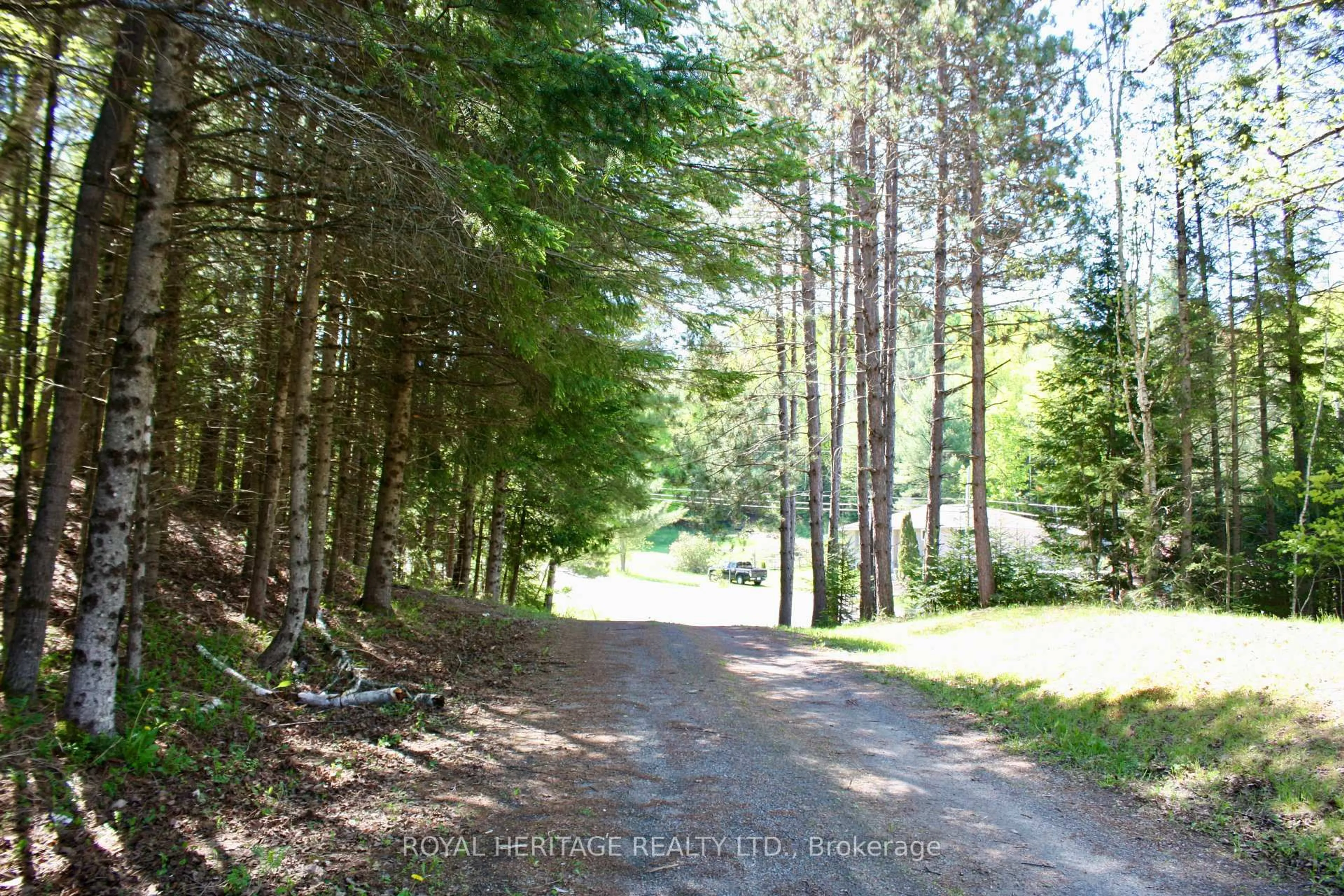 Patio, forest/trees view for 22 Robert Dr, Bancroft Ontario K0L 1C0
