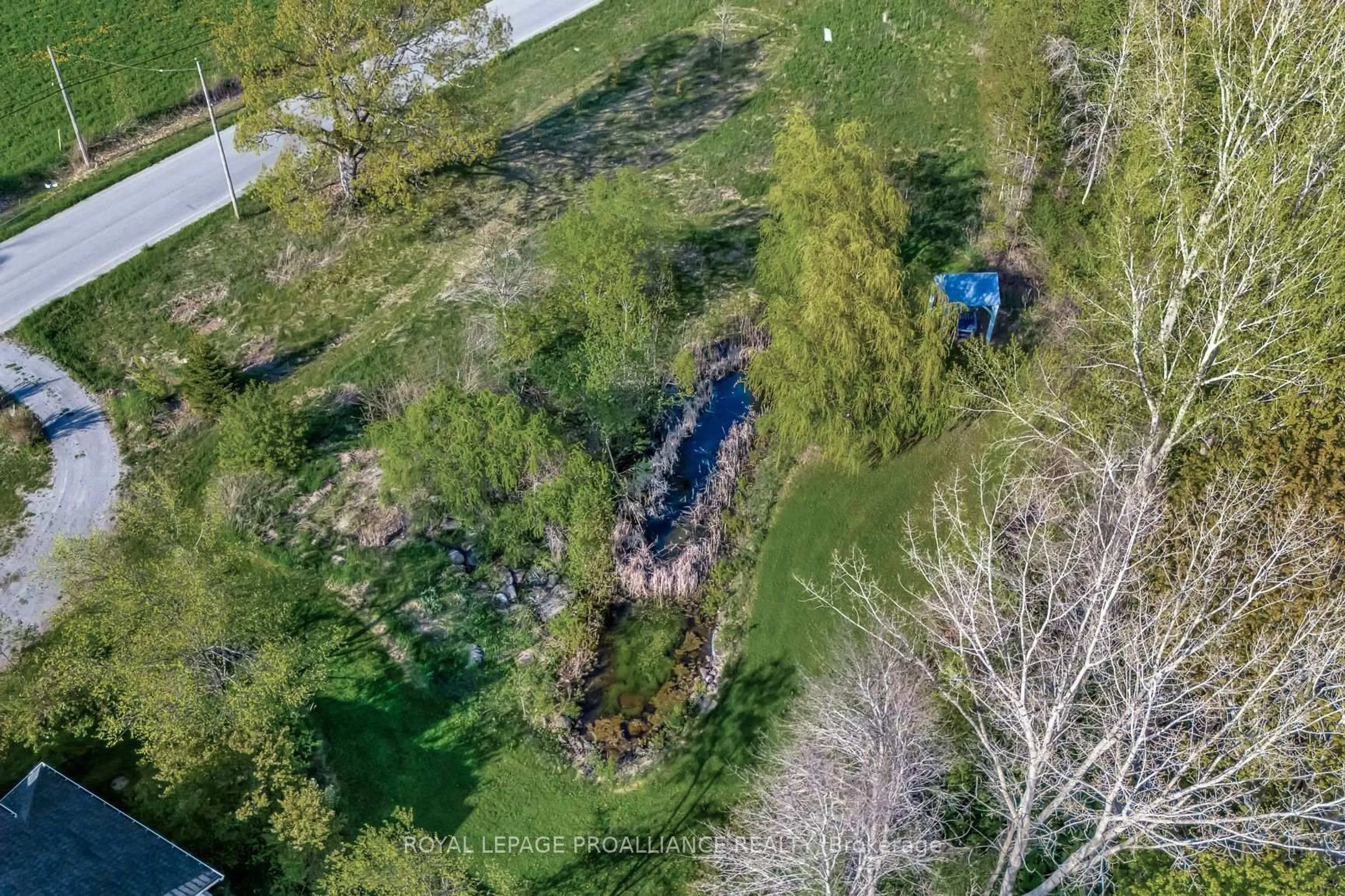 A pic from outside/outdoor area/front of a property/back of a property/a pic from drone, forest/trees view for 1479 Lakeside Dr, Prince Edward County Ontario K0K 2T0