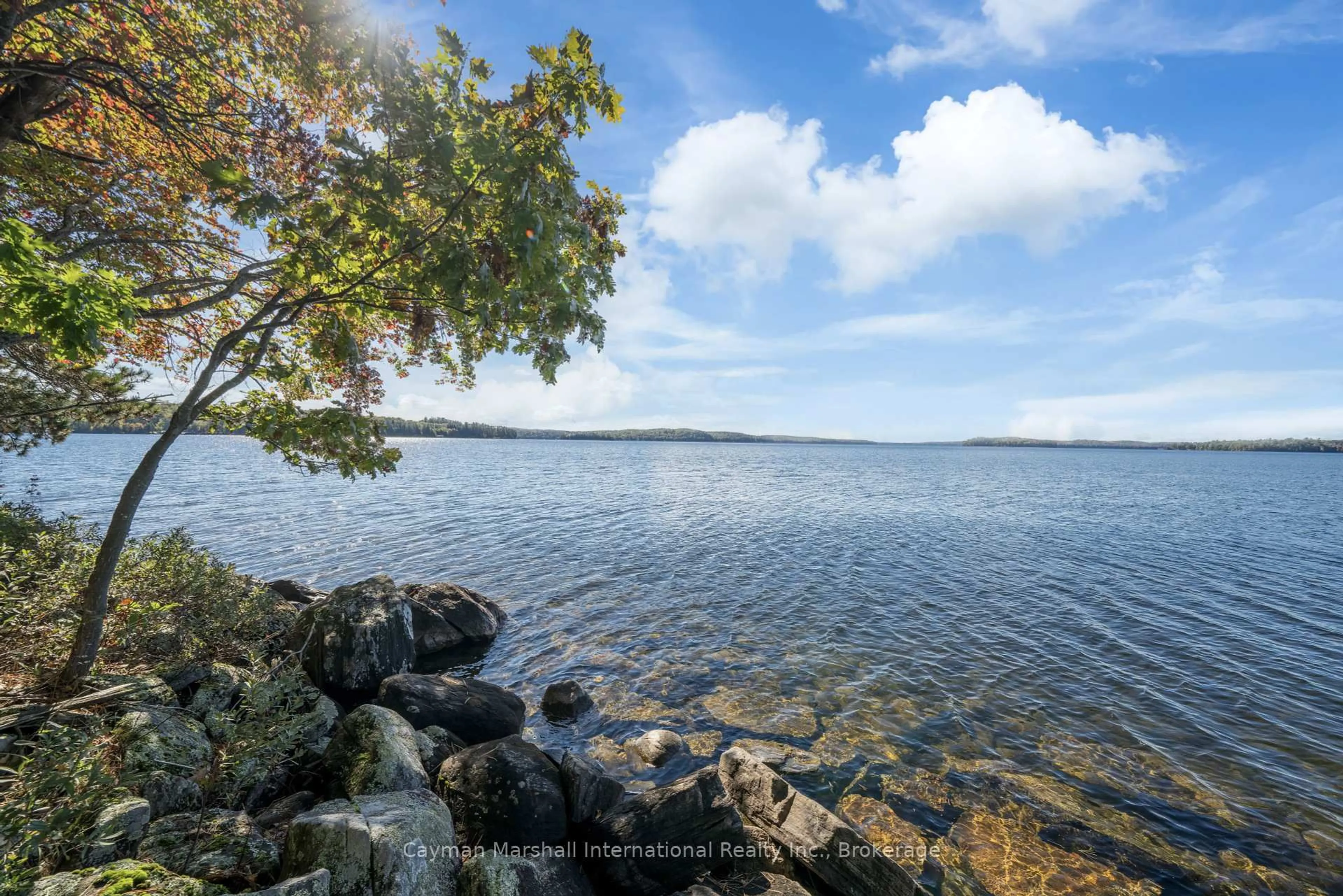 Blurry image for 1002 Montgomery Point Rd #2, Lake of Bays Ontario P0A 1H0