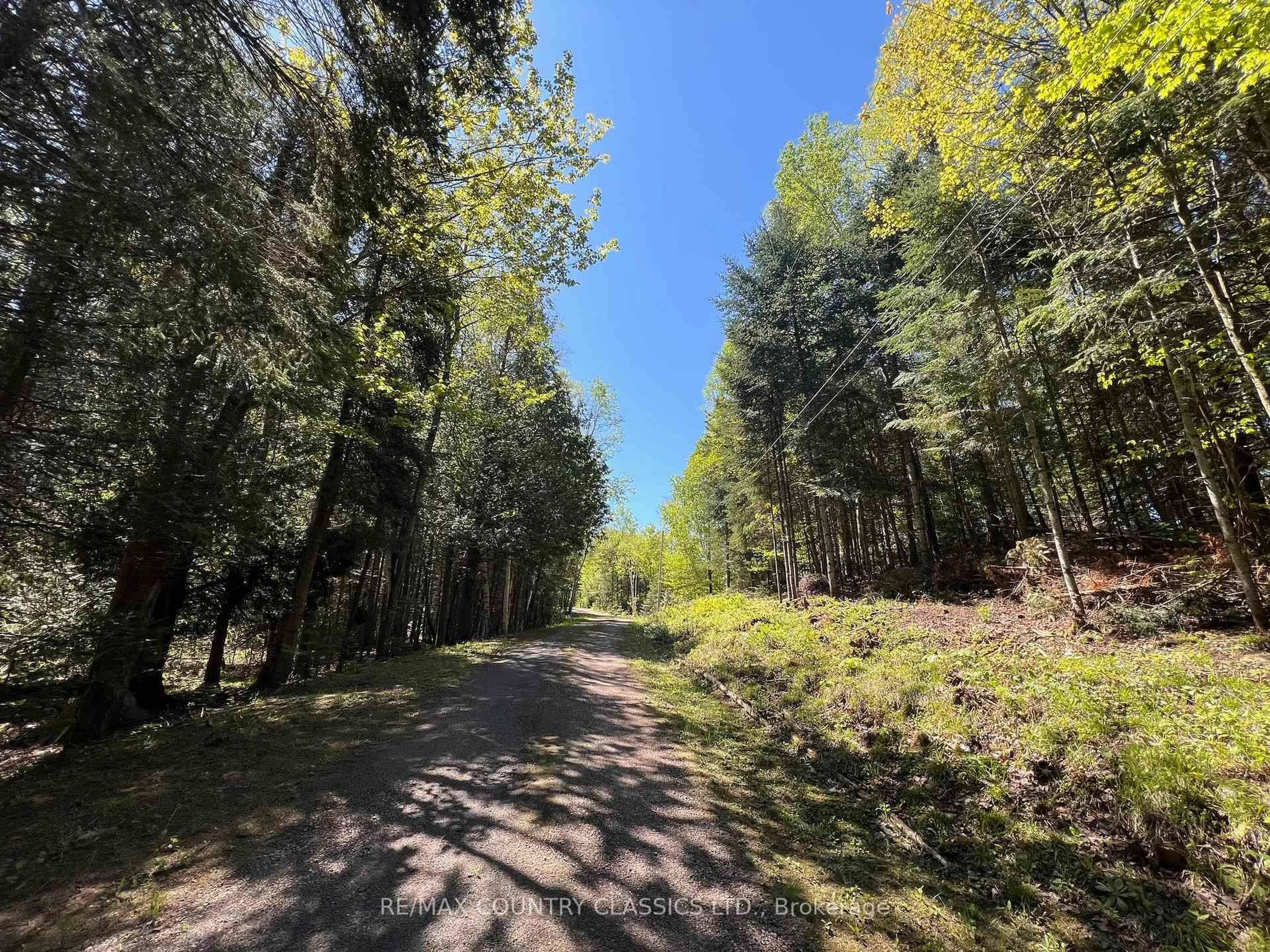A pic from outside/outdoor area/front of a property/back of a property/a pic from drone, forest/trees view for 1374 Rochefort Rd, Killaloe Ontario K0J 2A0