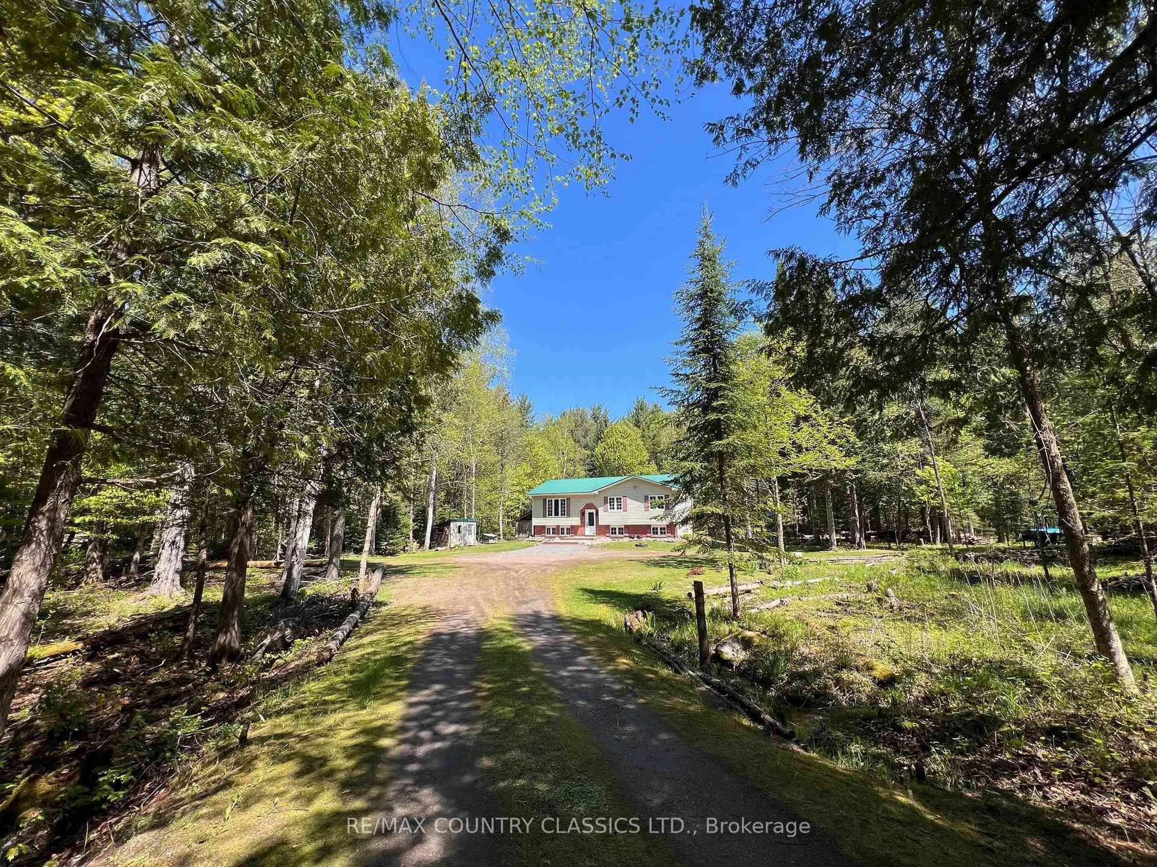 A pic from outside/outdoor area/front of a property/back of a property/a pic from drone, forest/trees view for 1374 Rochefort Rd, Killaloe Ontario K0J 2A0