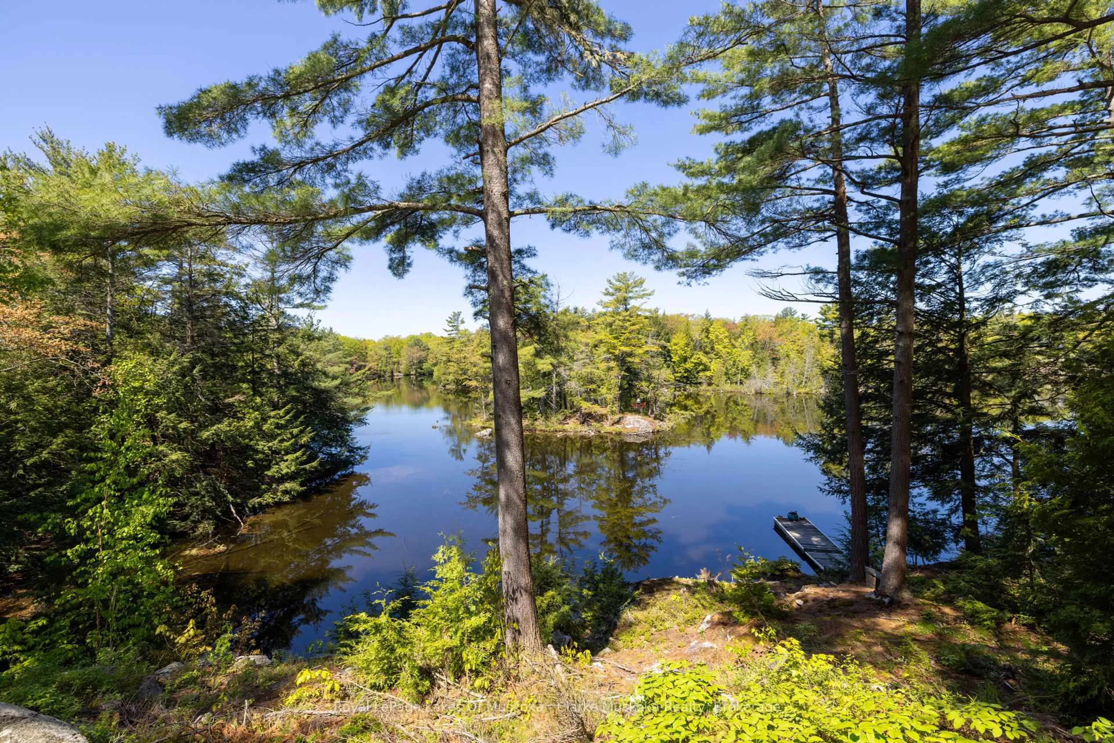 Patio, water/lake/river/ocean view for 733 Whites Falls Rd, Georgian Bay Ontario L0K 1S0