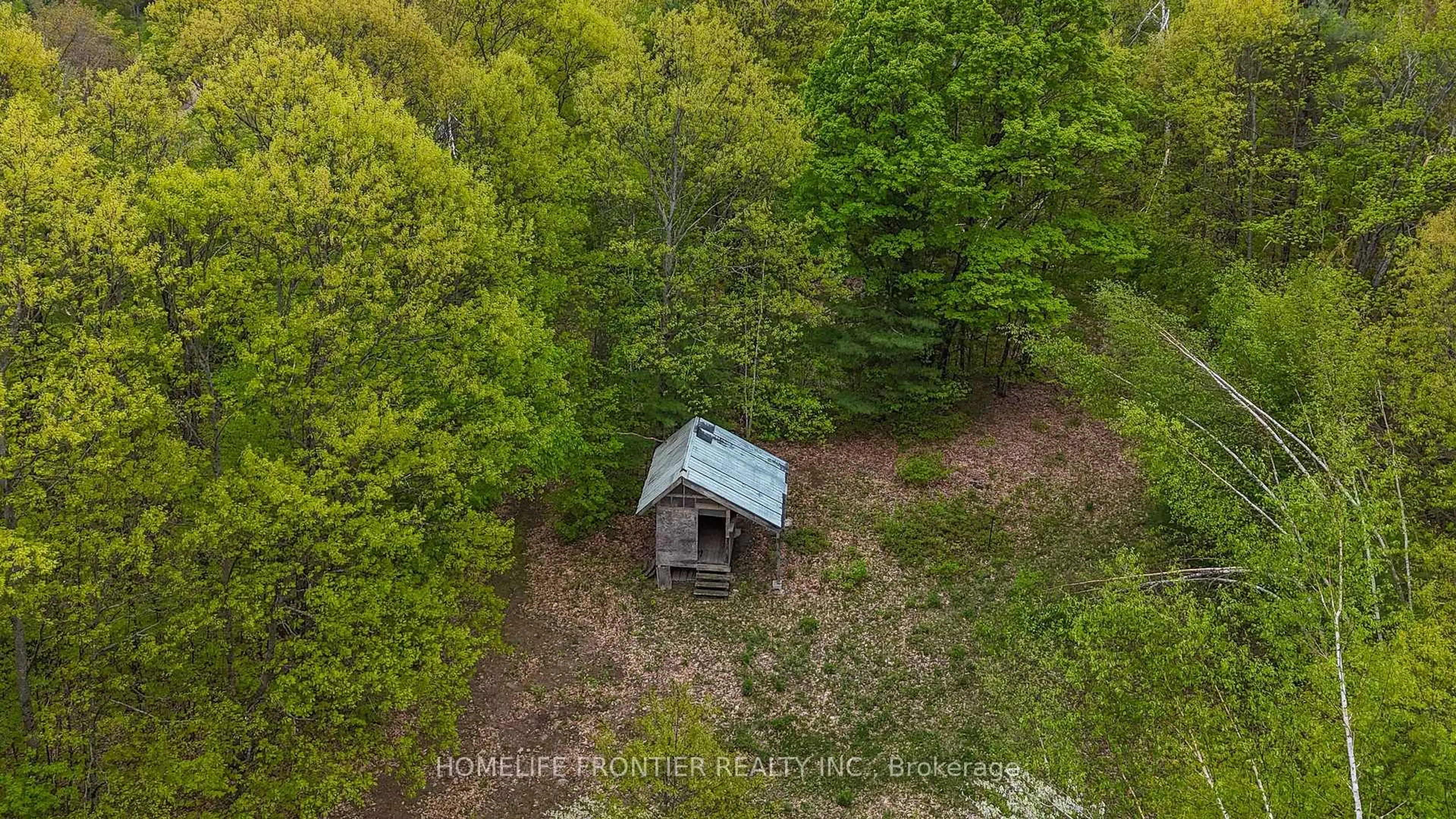 A pic from outside/outdoor area/front of a property/back of a property/a pic from drone, forest/trees view for 1019 Silk Lane, Minden Hills Ontario K0M 2K0