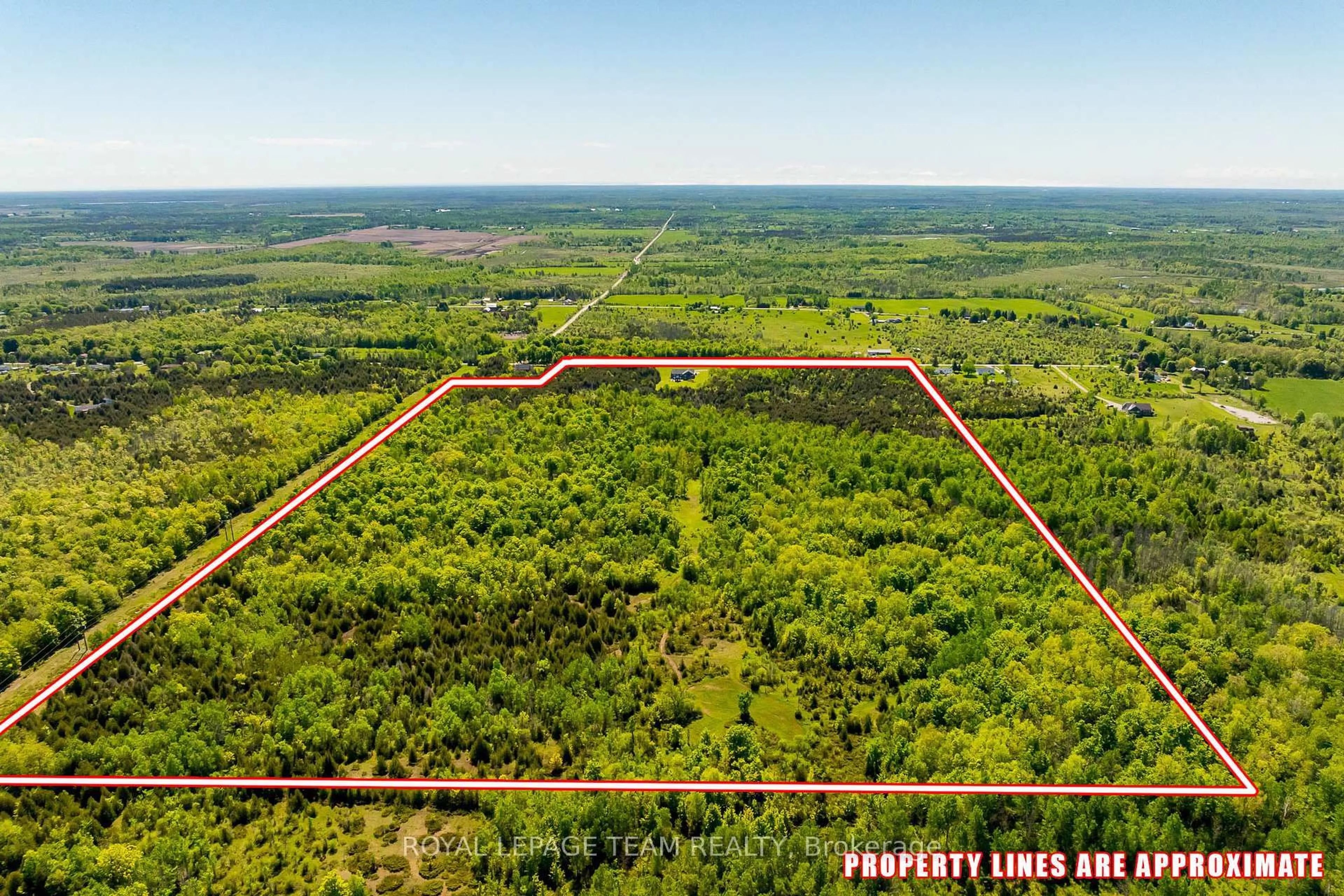 A pic from outside/outdoor area/front of a property/back of a property/a pic from drone, forest/trees view for 830 Kitley Line 3 Rd, Elizabethtown-Kitley Ontario K0G 1G0