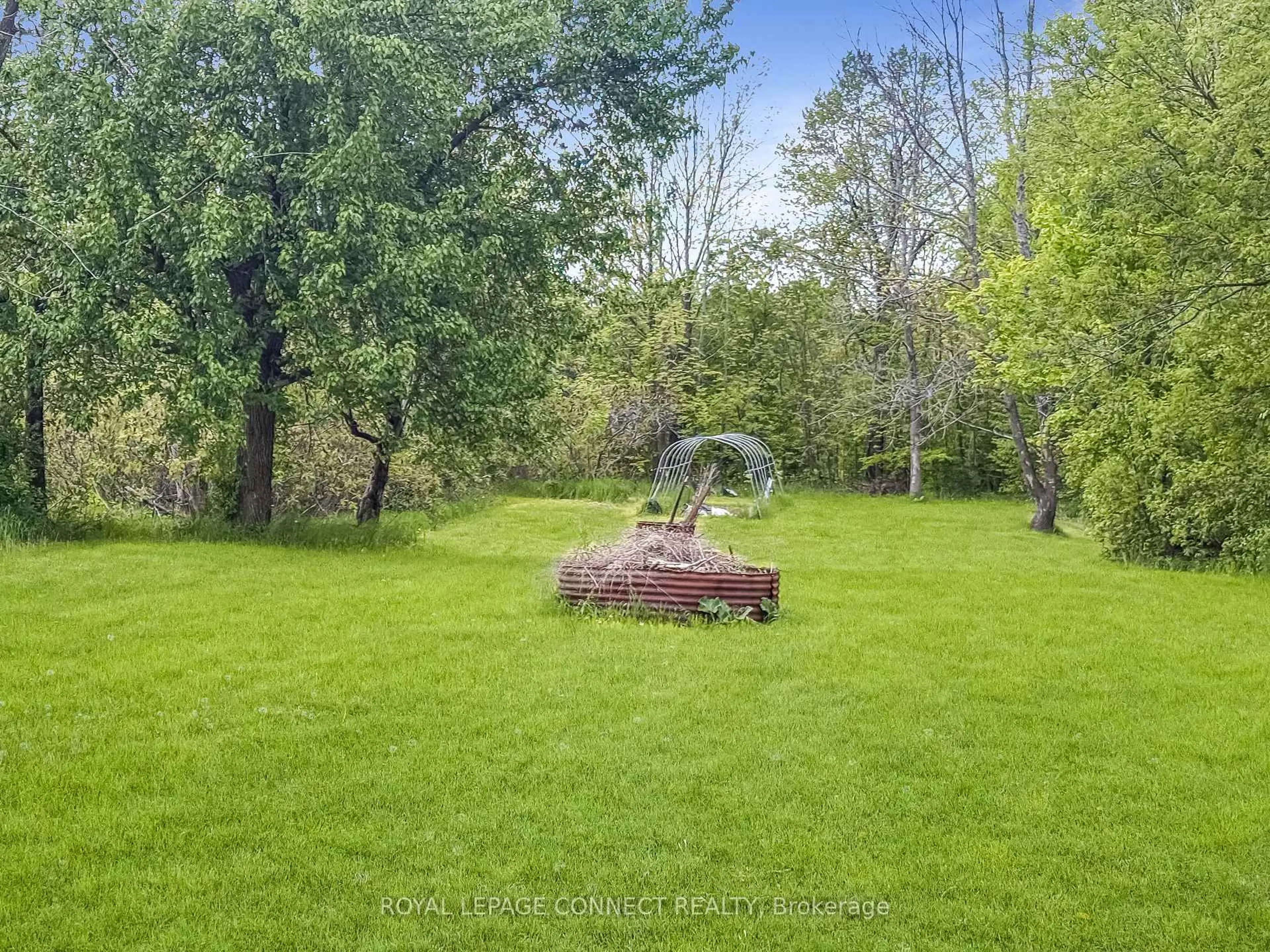 A pic from outside/outdoor area/front of a property/back of a property/a pic from drone, forest/trees view for 691 Addington St, Tamworth Ontario K0K 3G0