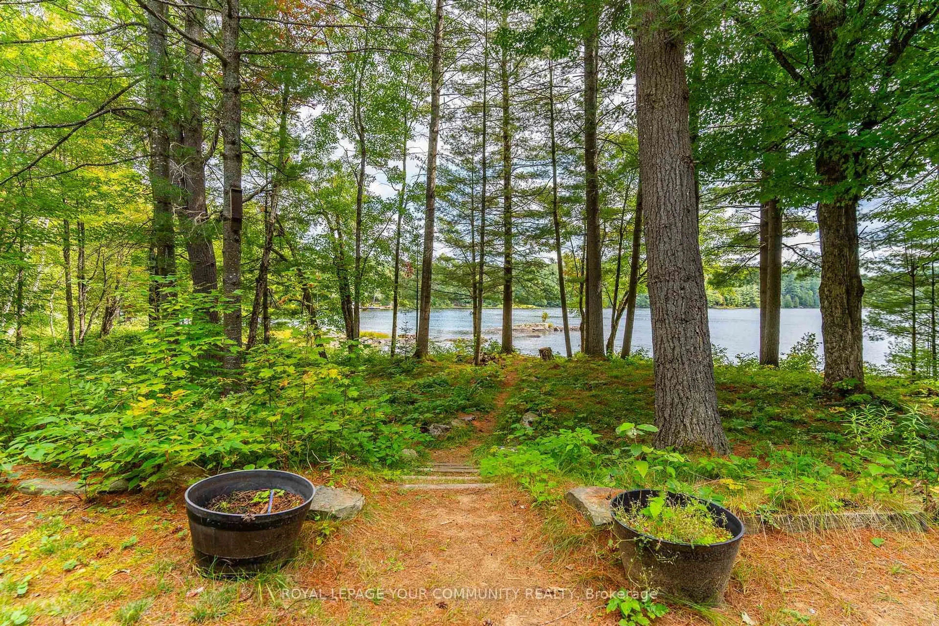 Patio, forest/trees view for 1031 Obelisk Tr, Minden Hills Ontario K0M 2A0
