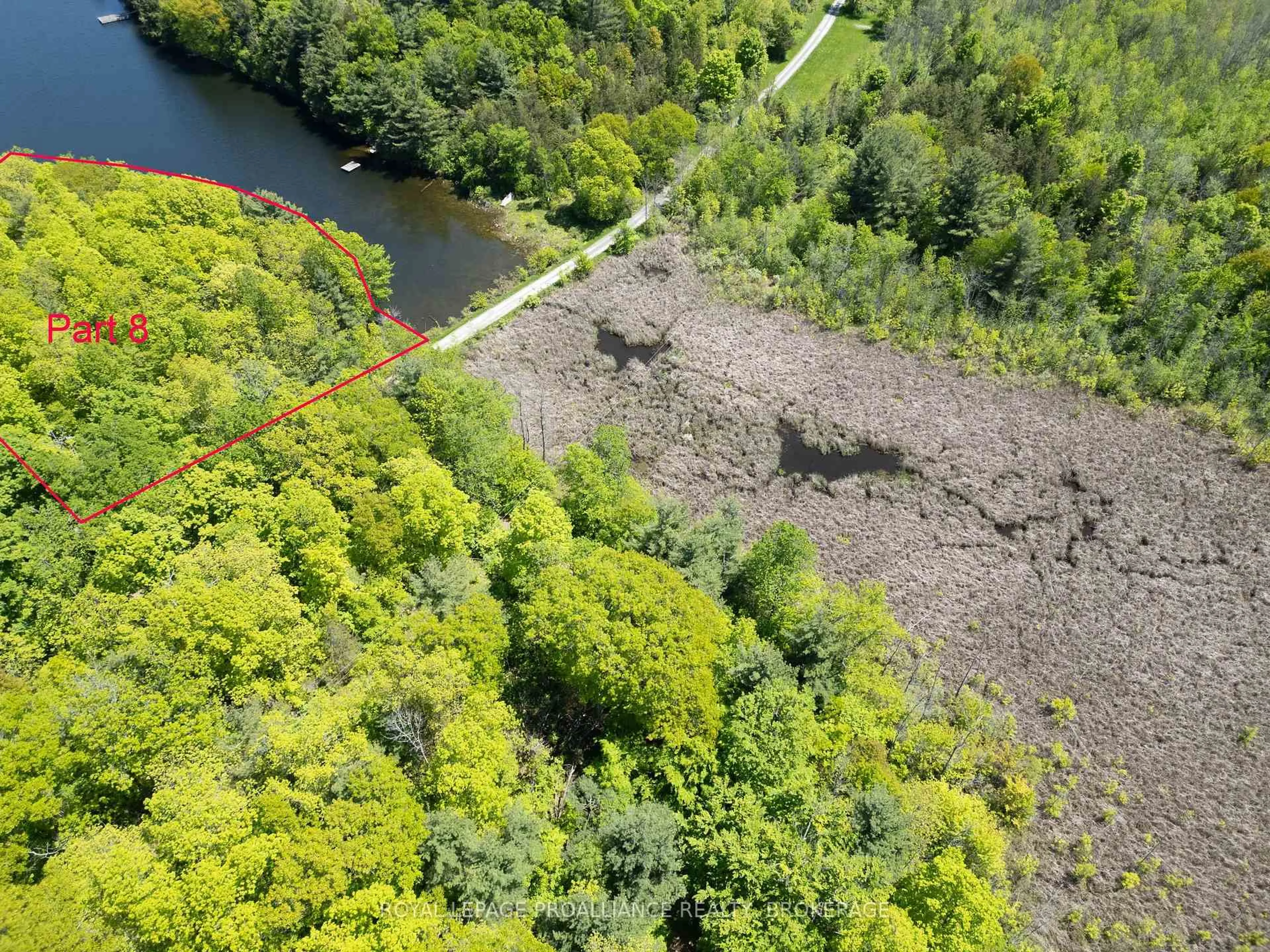 A pic from outside/outdoor area/front of a property/back of a property/a pic from drone, forest/trees view for 1122 Gananoque Lake Rd, Front of Leeds & Seeleys Bay Ontario K7G 2V4