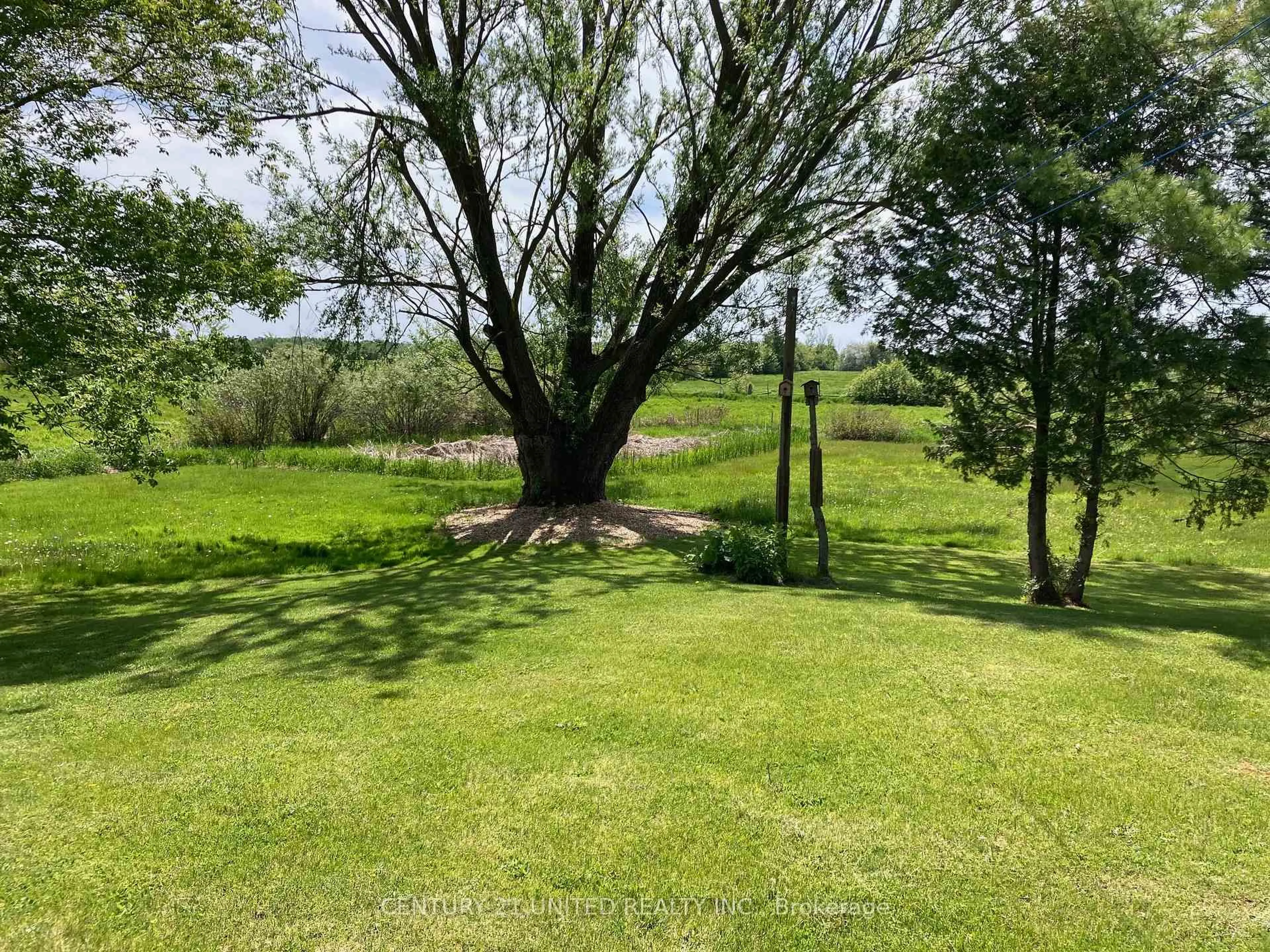 A pic from outside/outdoor area/front of a property/back of a property/a pic from drone, forest/trees view for 496 Pigeon Lake Rd, Kawartha Lakes Ontario K9V 4R3