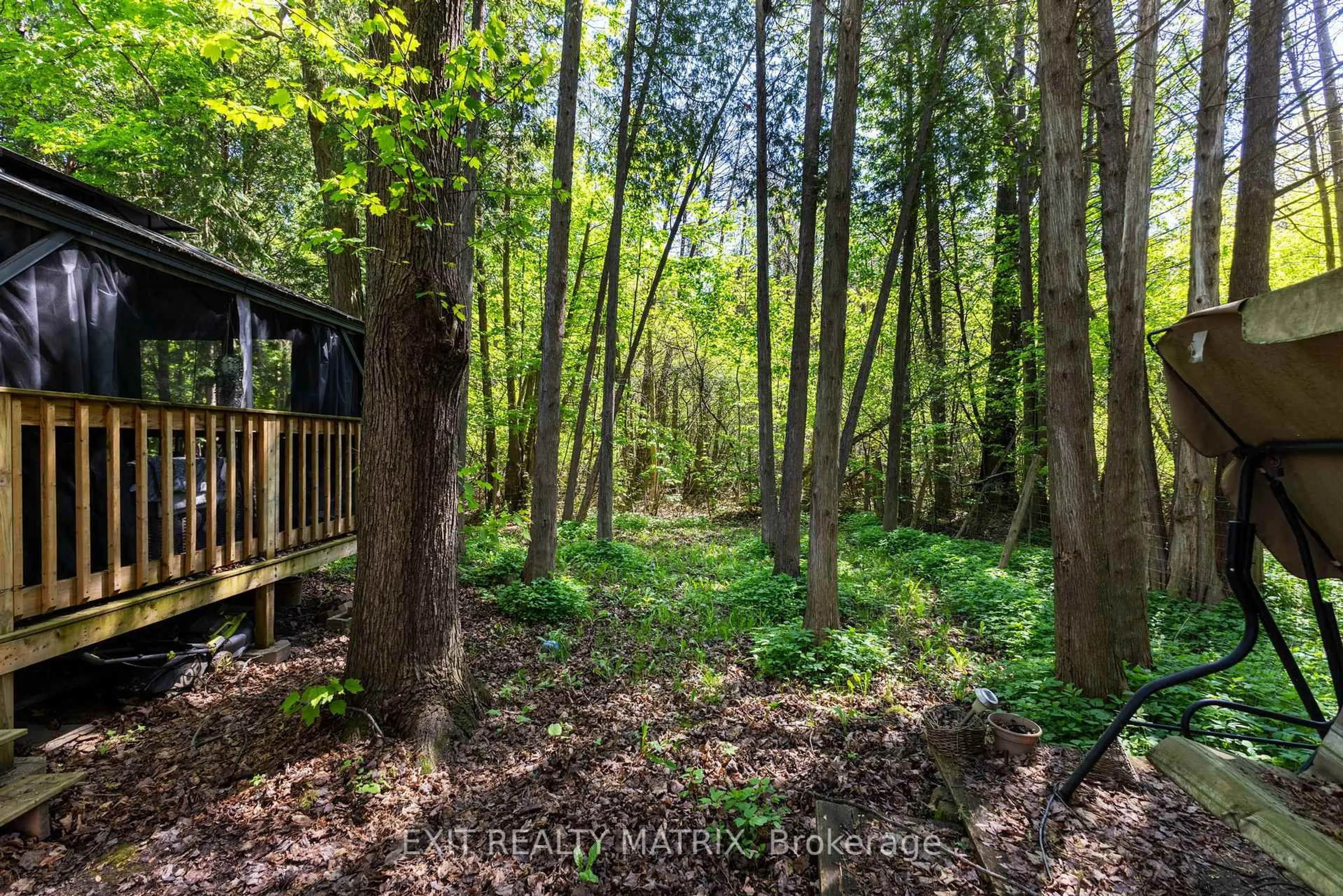 A pic from outside/outdoor area/front of a property/back of a property/a pic from drone, forest/trees view for 7962 Parkway Rd, Metcalfe Ontario K0A 2P0