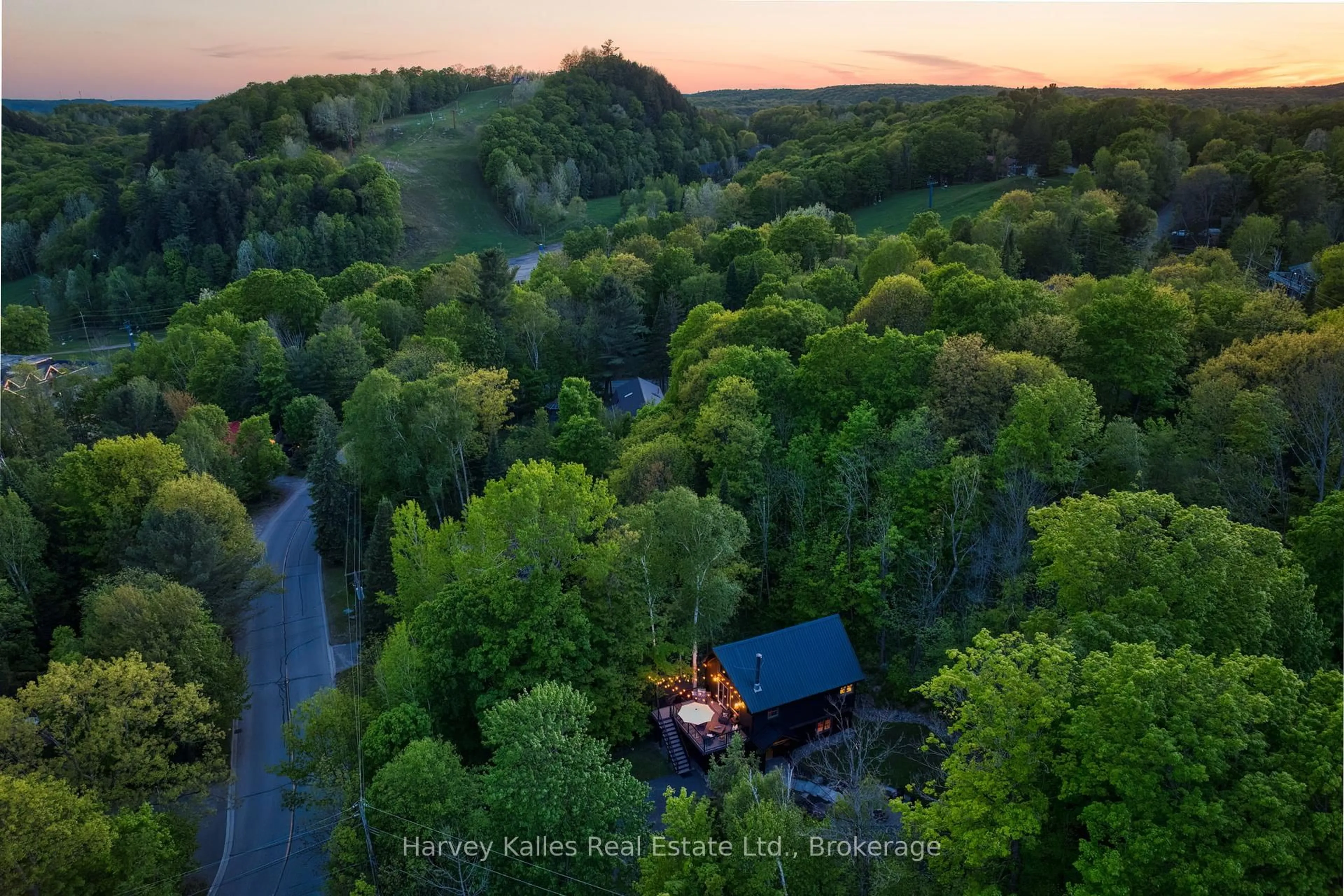 A pic from outside/outdoor area/front of a property/back of a property/a pic from drone, forest/trees view for 157 Chalet Cres, Huntsville Ontario P1H 1A8