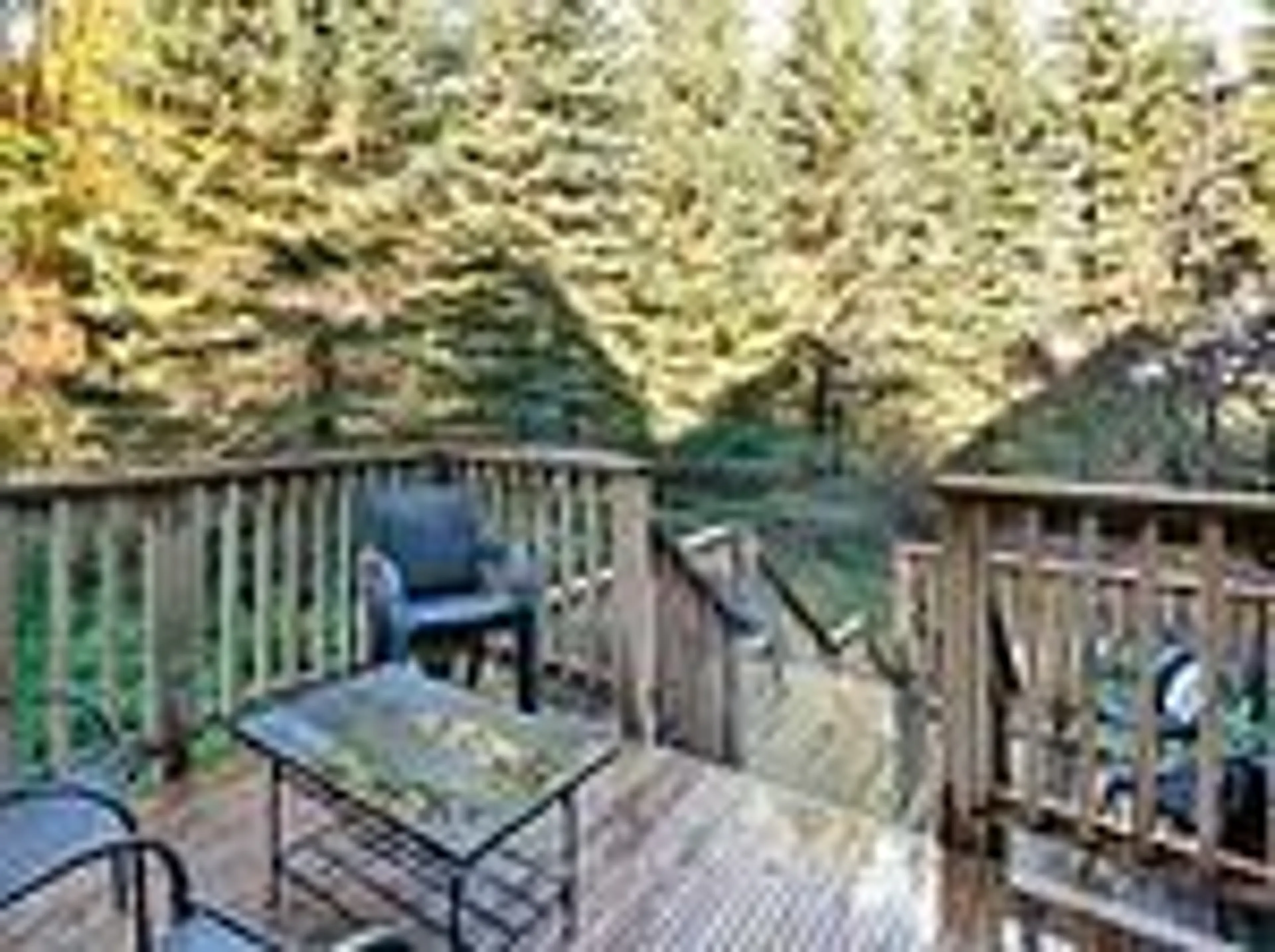 Patio, forest/trees view for 796468 Grey 19 Rd #911, Blue Mountains Ontario L9Y 0N6