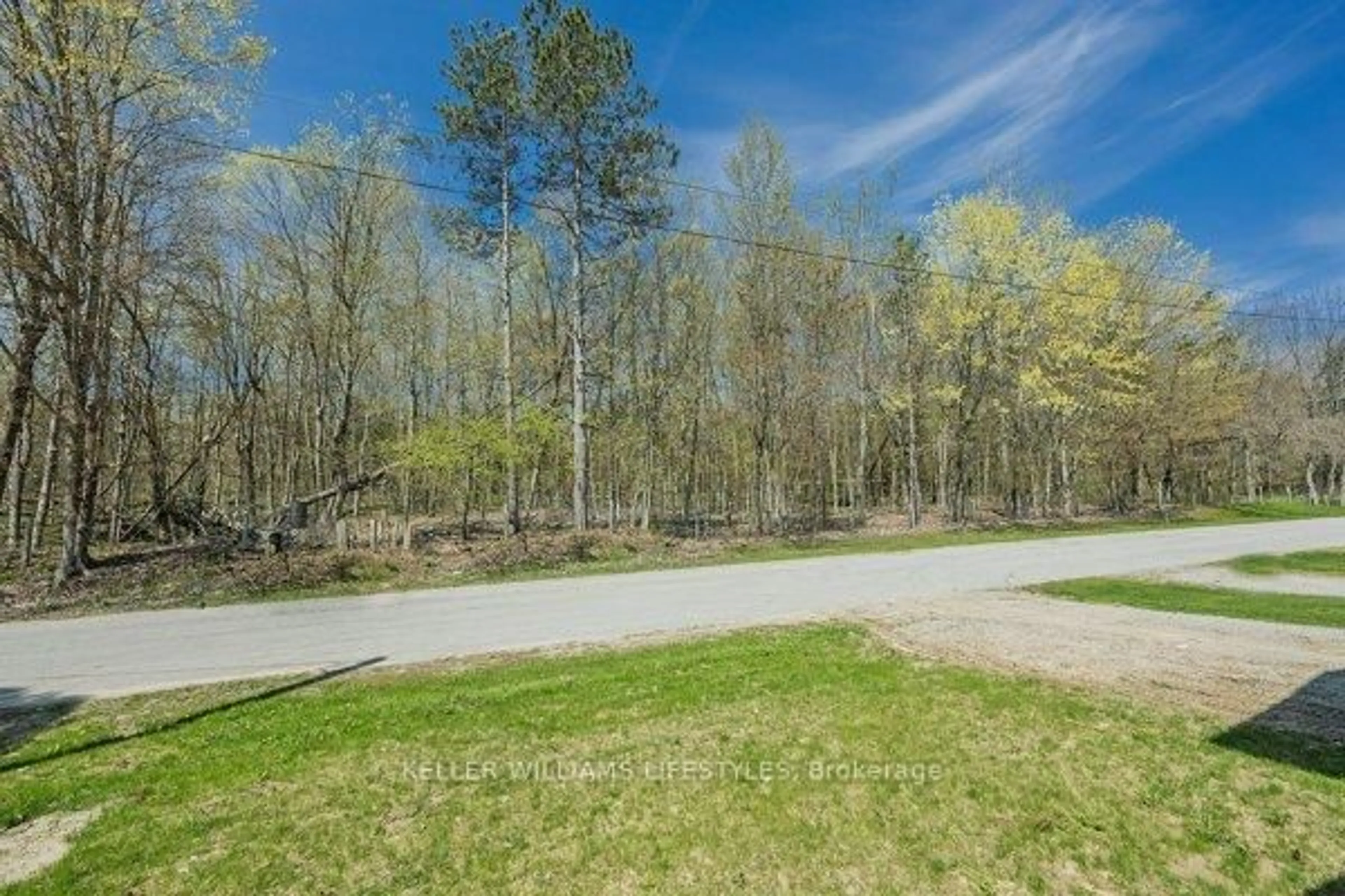 A pic from outside/outdoor area/front of a property/back of a property/a pic from drone, forest/trees view for 6 Addison St, Bayham Ontario N0J 1T0