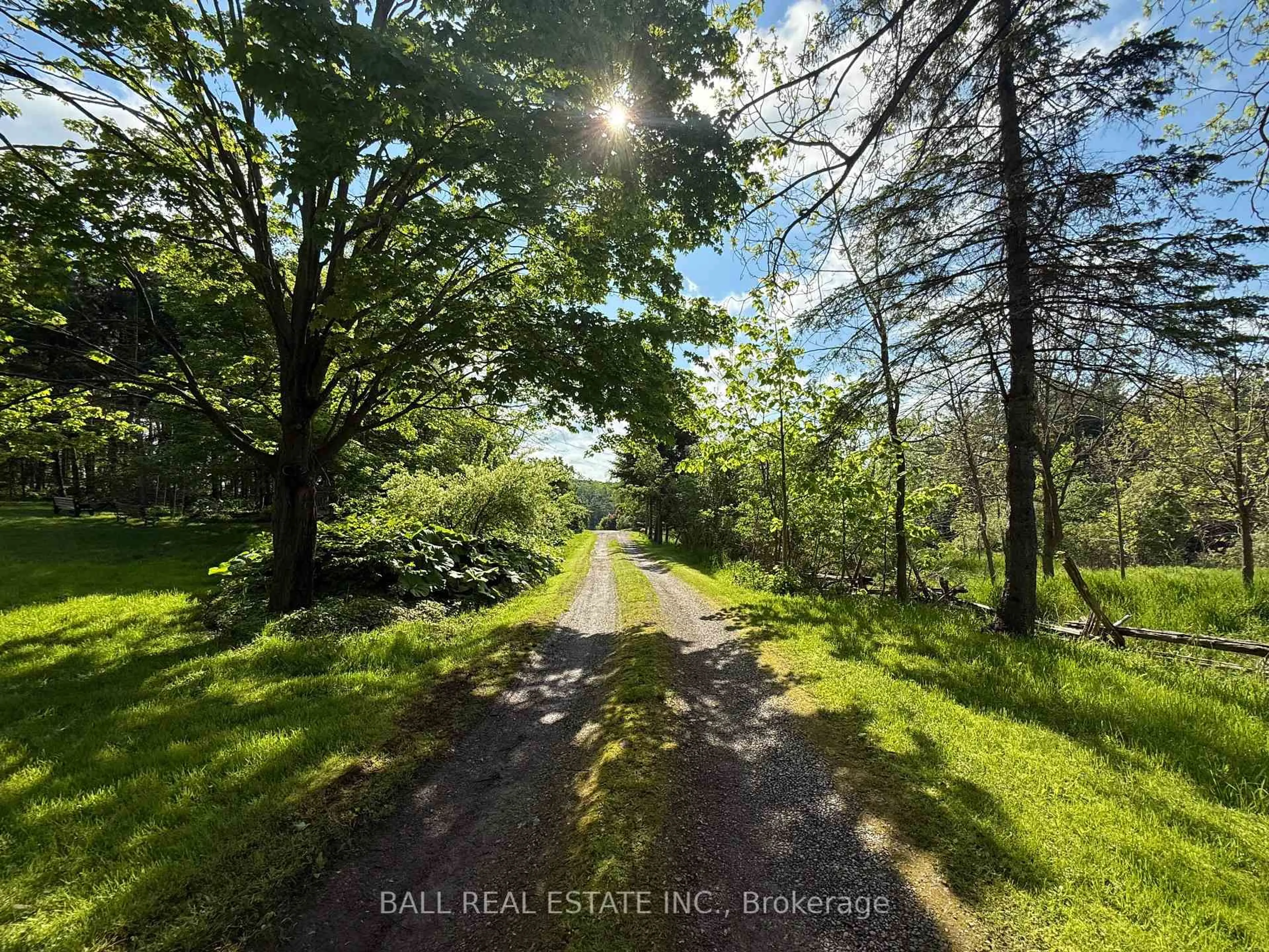 A pic from outside/outdoor area/front of a property/back of a property/a pic from drone, forest/trees view for 94 West St, Douro-Dummer Ontario K0L 3A0