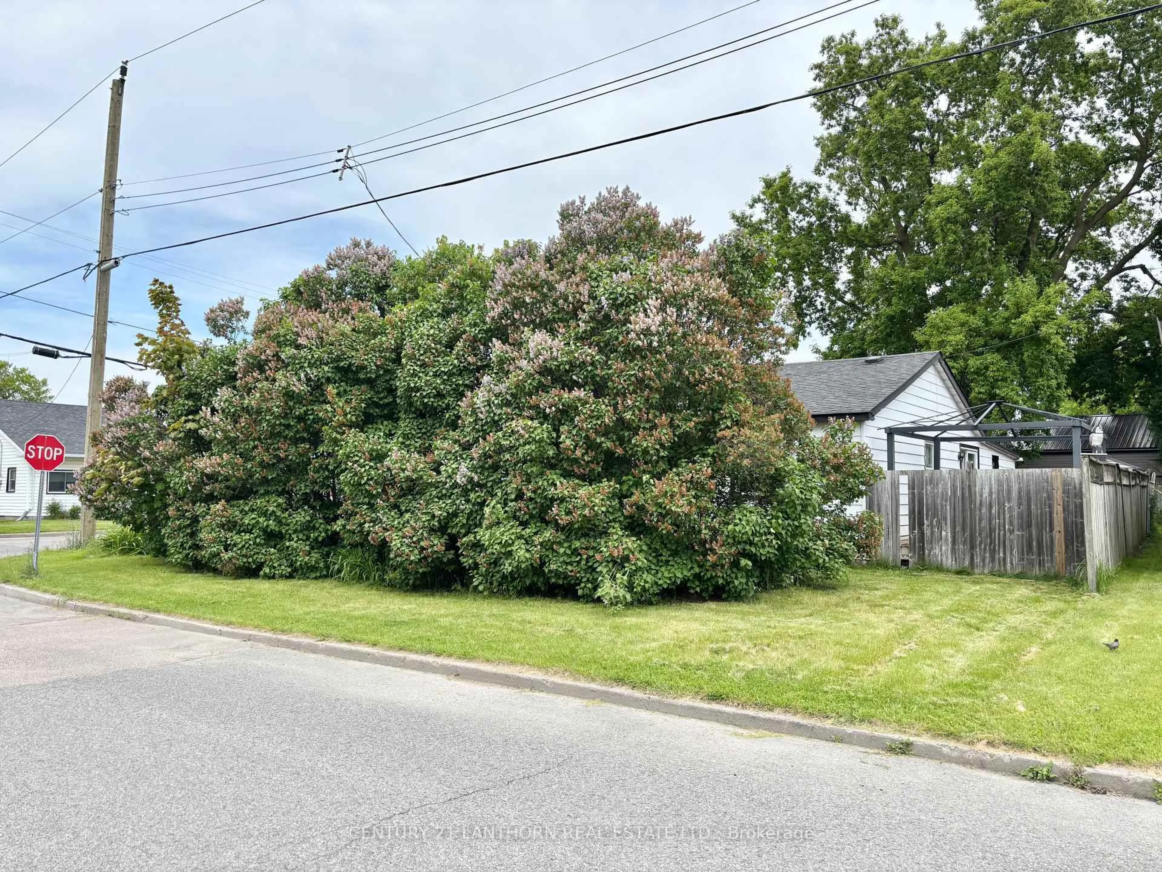 A pic from outside/outdoor area/front of a property/back of a property/a pic from drone, street for 27 North Murray St, Quinte West Ontario K8V 2E2