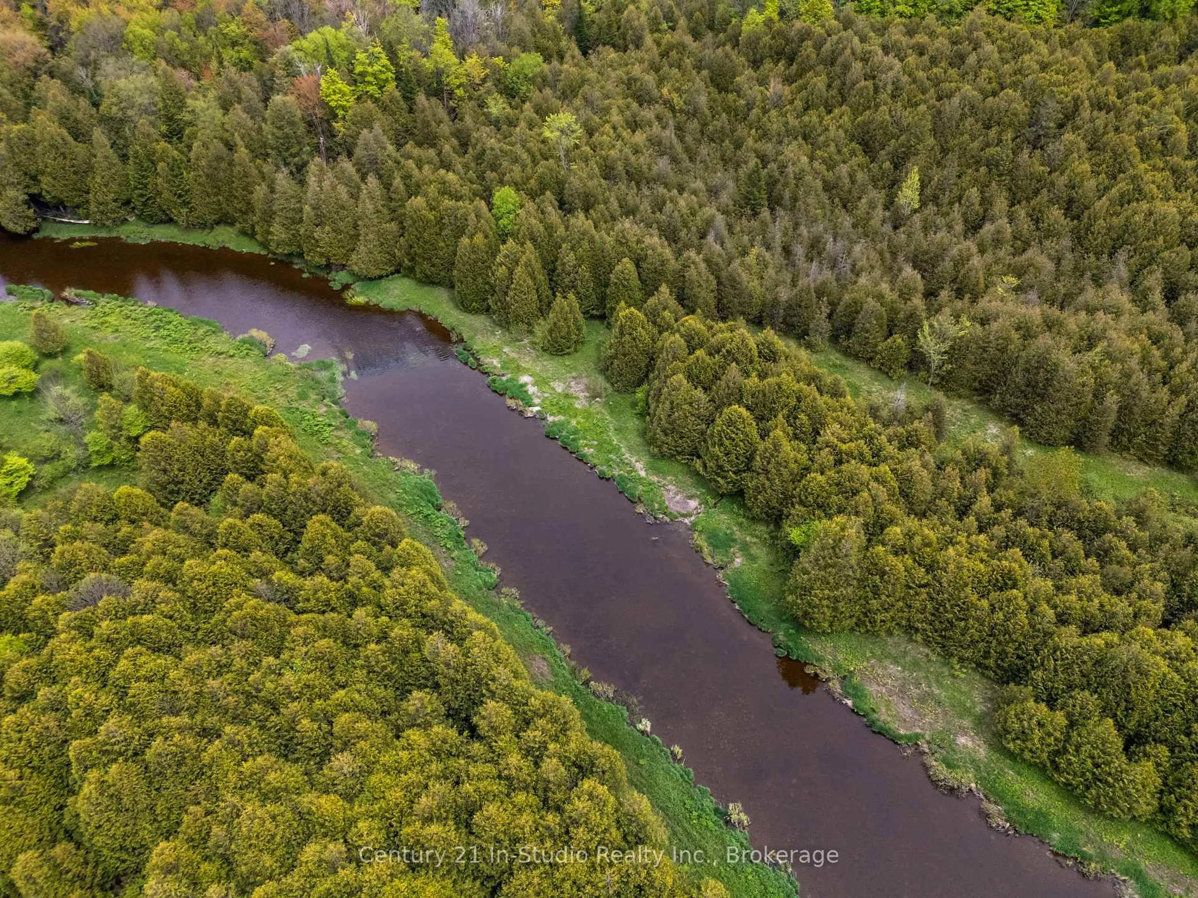 A pic from outside/outdoor area/front of a property/back of a property/a pic from drone, forest/trees view for 305207 South Line A, Grey Highlands Ontario N0C 1K0