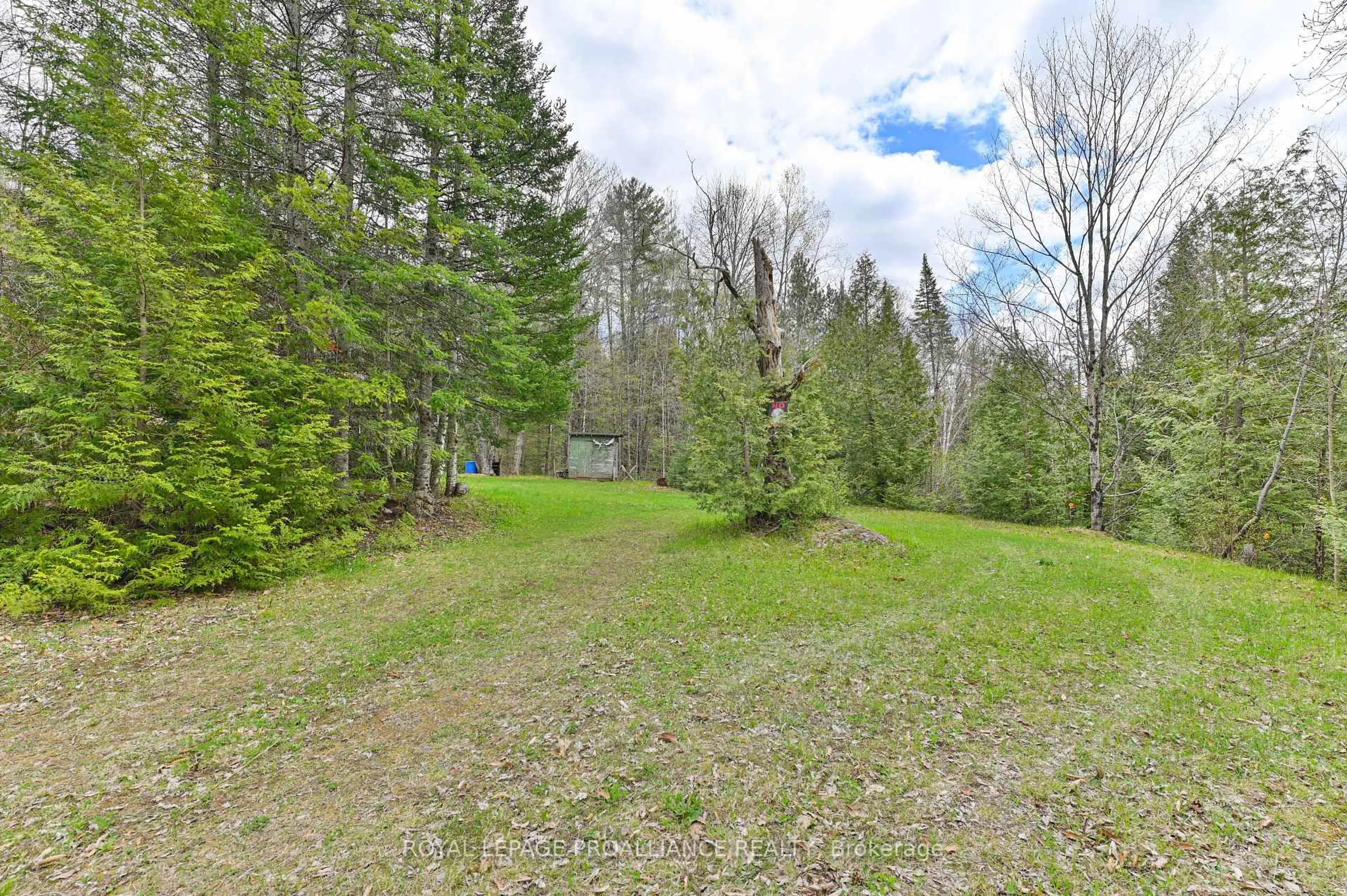 A pic from outside/outdoor area/front of a property/back of a property/a pic from drone, forest/trees view for 2611 River Rd, Ompah Ontario K0H 2J0