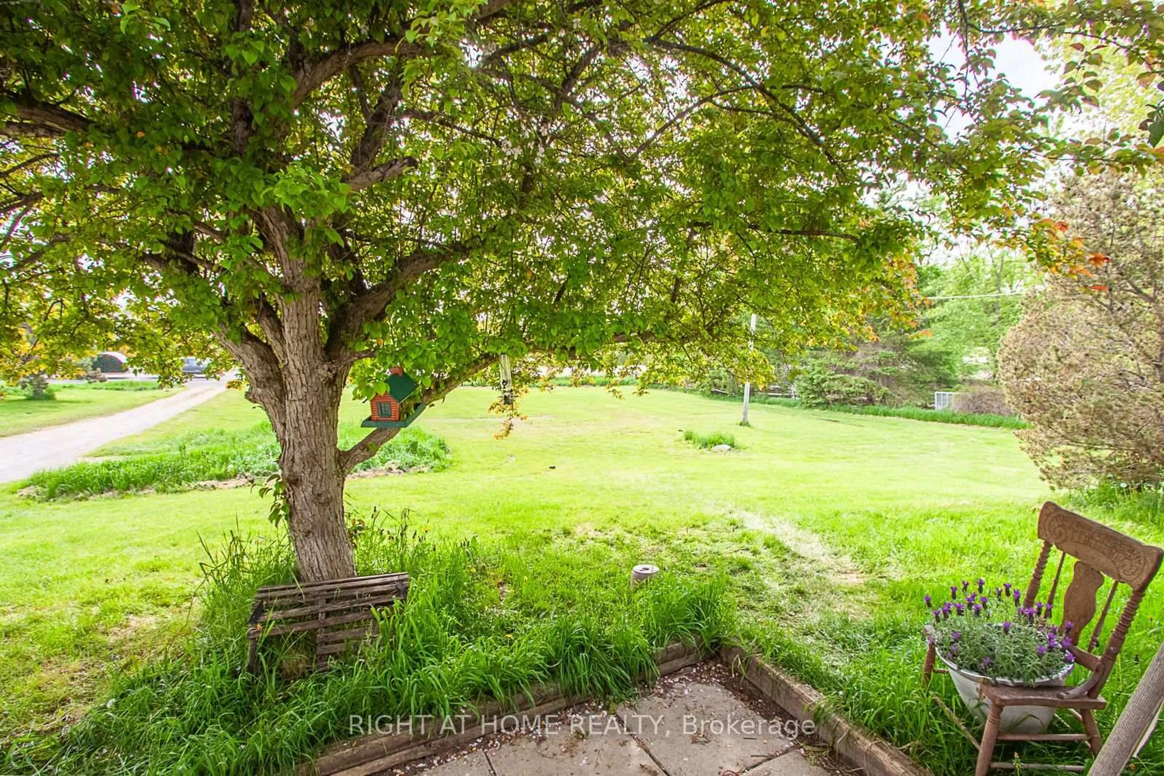 Patio, forest/trees view for 692 Emily Park Rd, Kawartha Lakes Ontario K0L 2W0