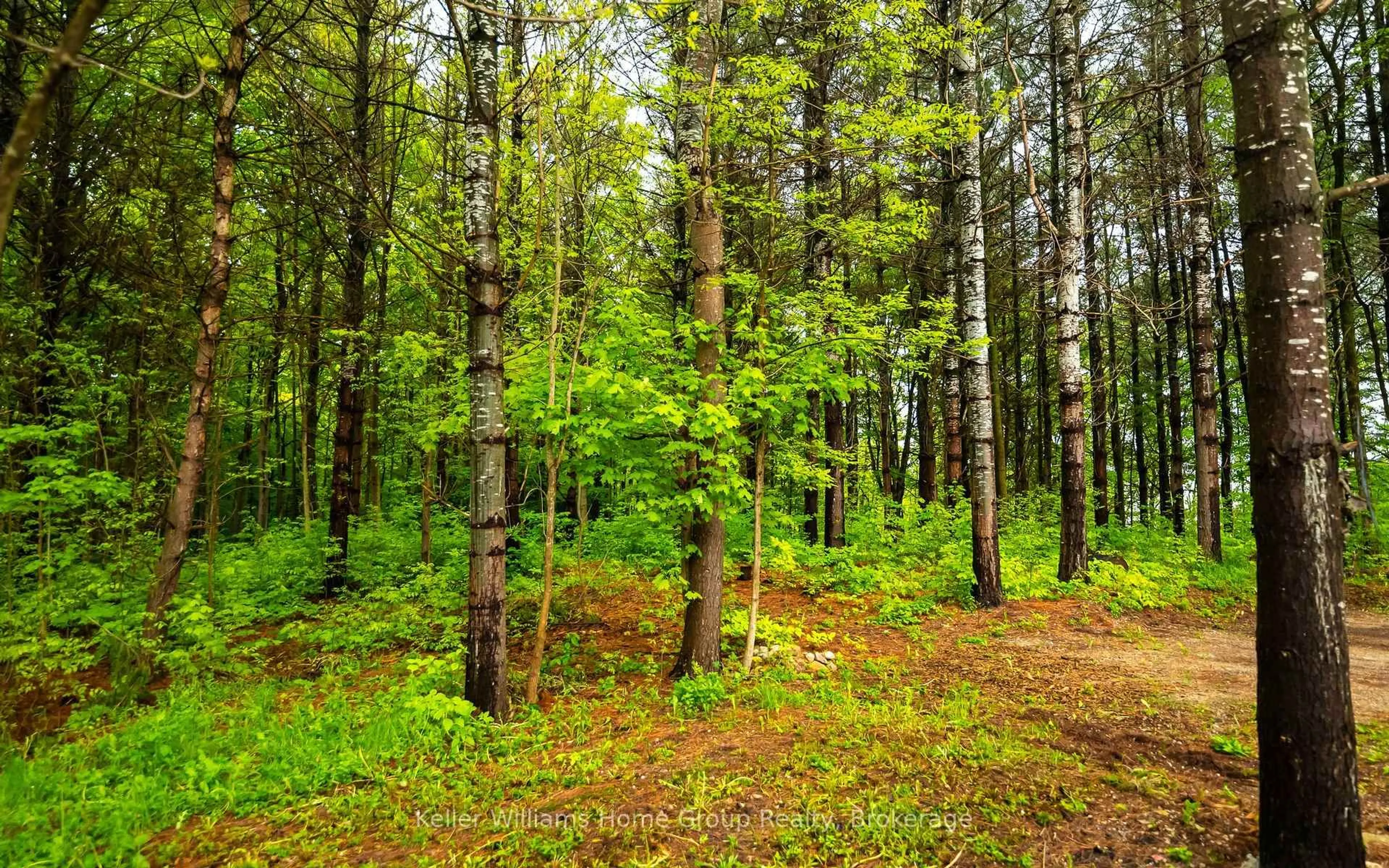 Blurry image for 211721 Baseline Rd, West Grey Ontario N0G 2L0