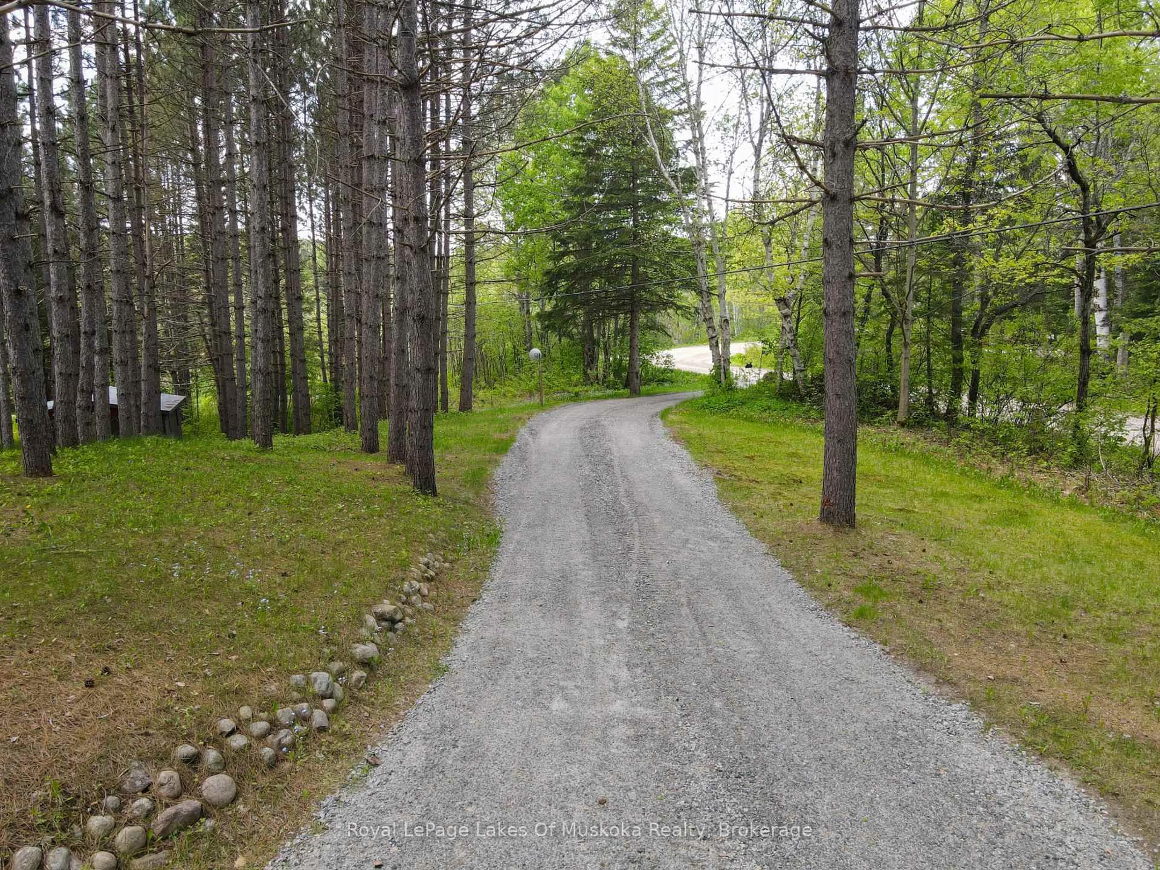 A pic from outside/outdoor area/front of a property/back of a property/a pic from drone, forest/trees view for 226 Owl Lake Rd, Armour Ontario P0A 1L0