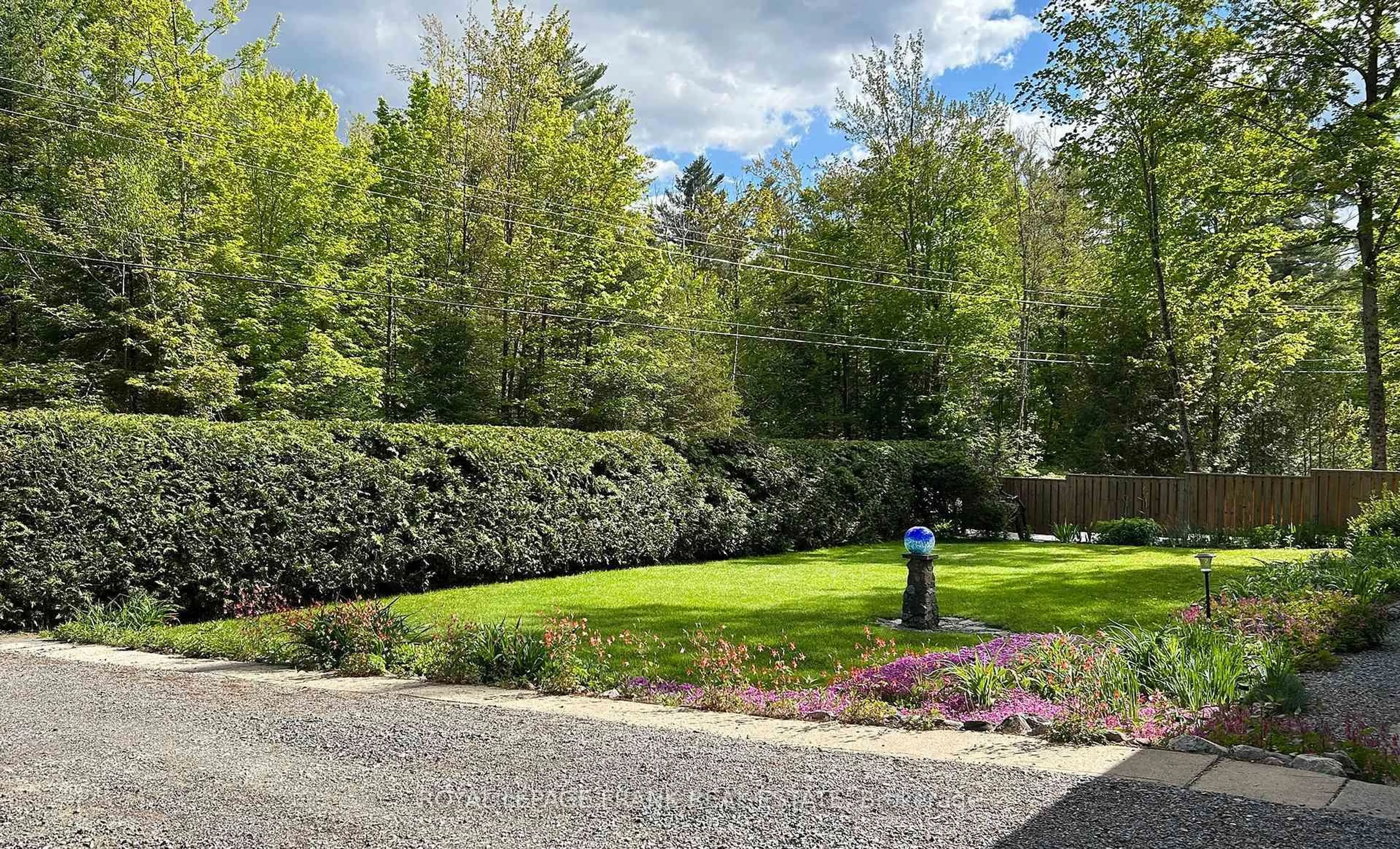 A pic from outside/outdoor area/front of a property/back of a property/a pic from drone, forest/trees view for 109 Mcfadden Rd, North Kawartha Ontario K0L 1A0