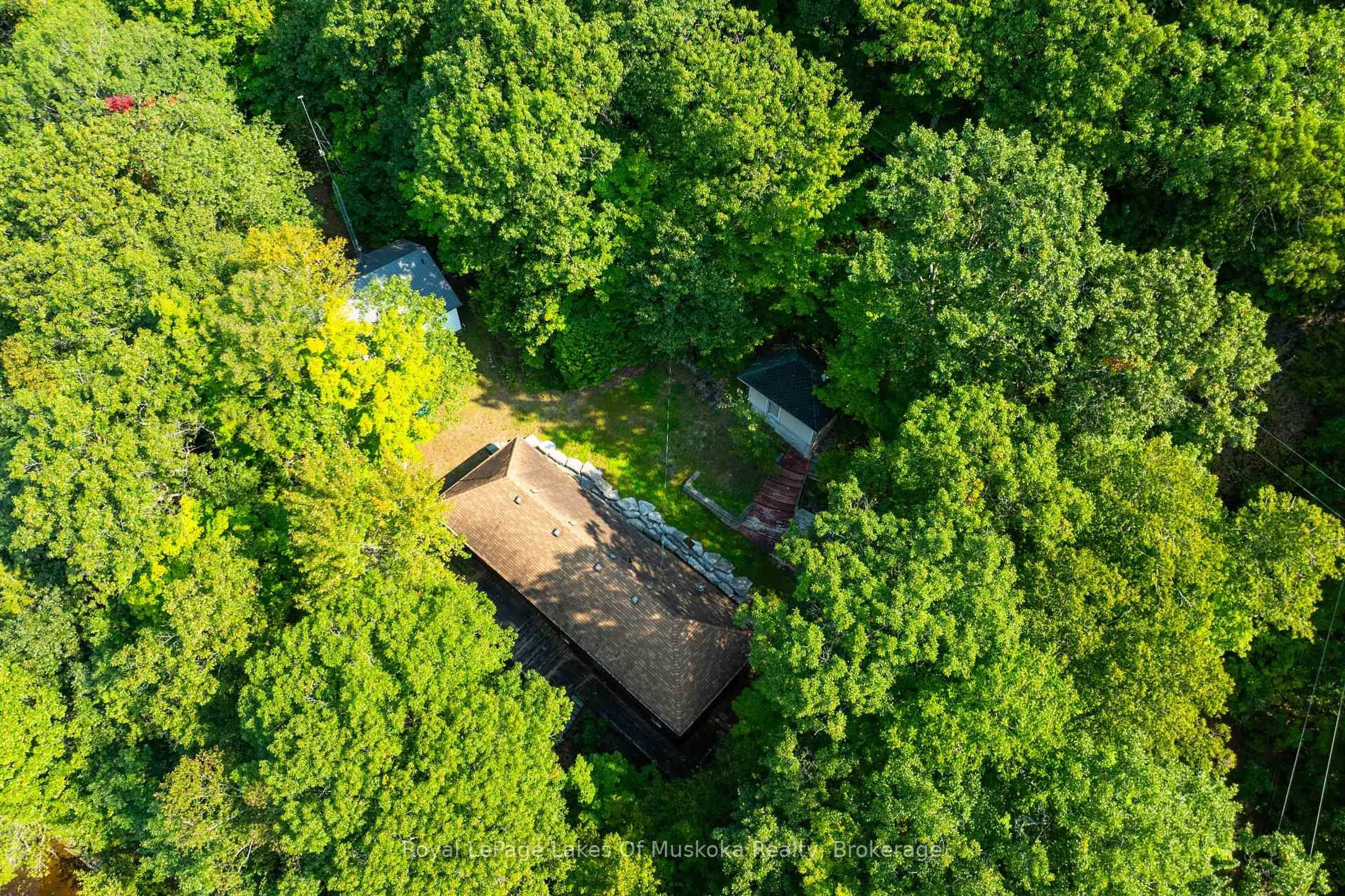 A pic from outside/outdoor area/front of a property/back of a property/a pic from drone, forest/trees view for 1030 McCabe Rd, Lake of Bays Ontario P0B 1A0