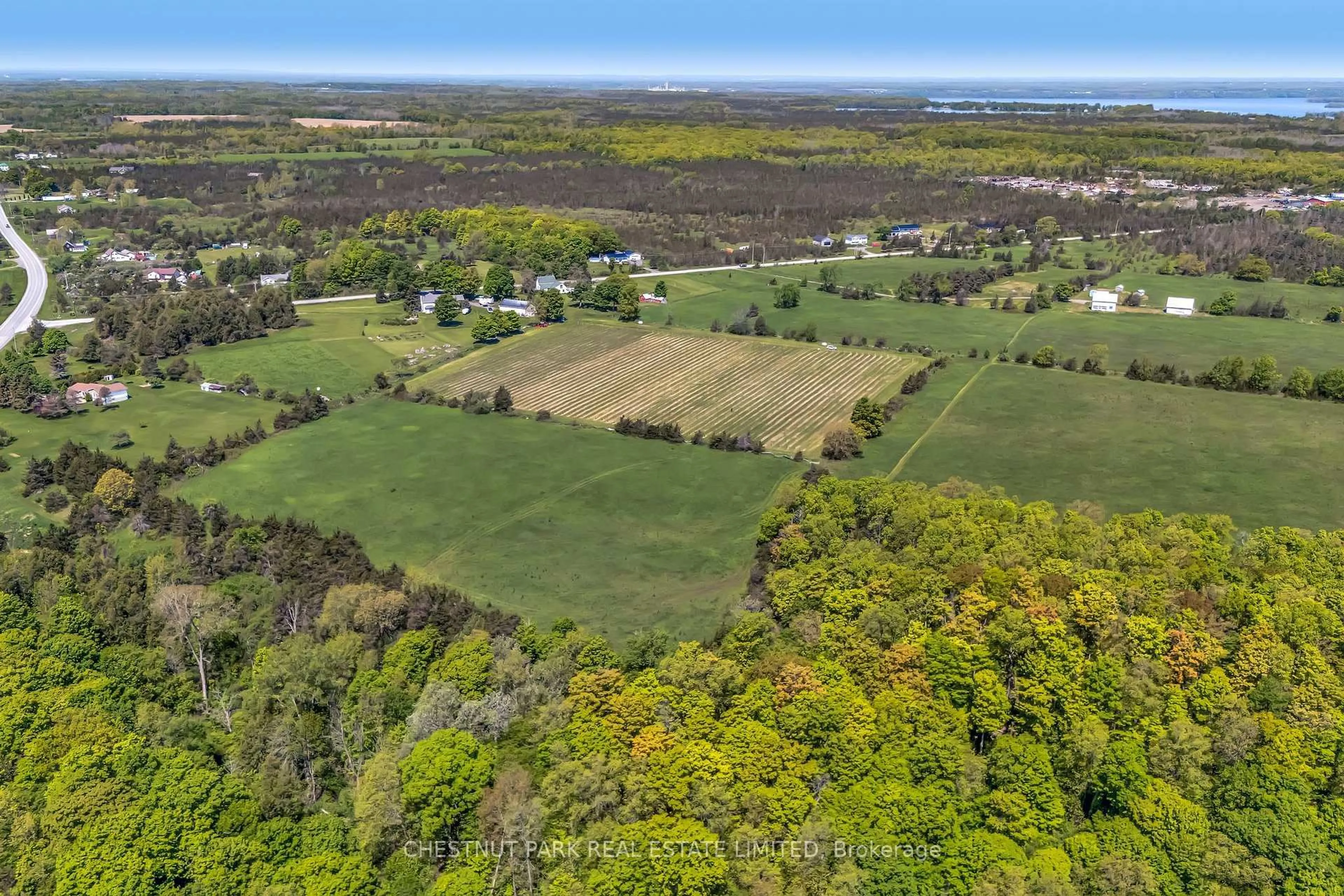 A pic from outside/outdoor area/front of a property/back of a property/a pic from drone, forest/trees view for 419 County Rd 25 N/A, Prince Edward County Ontario K0K 2T0