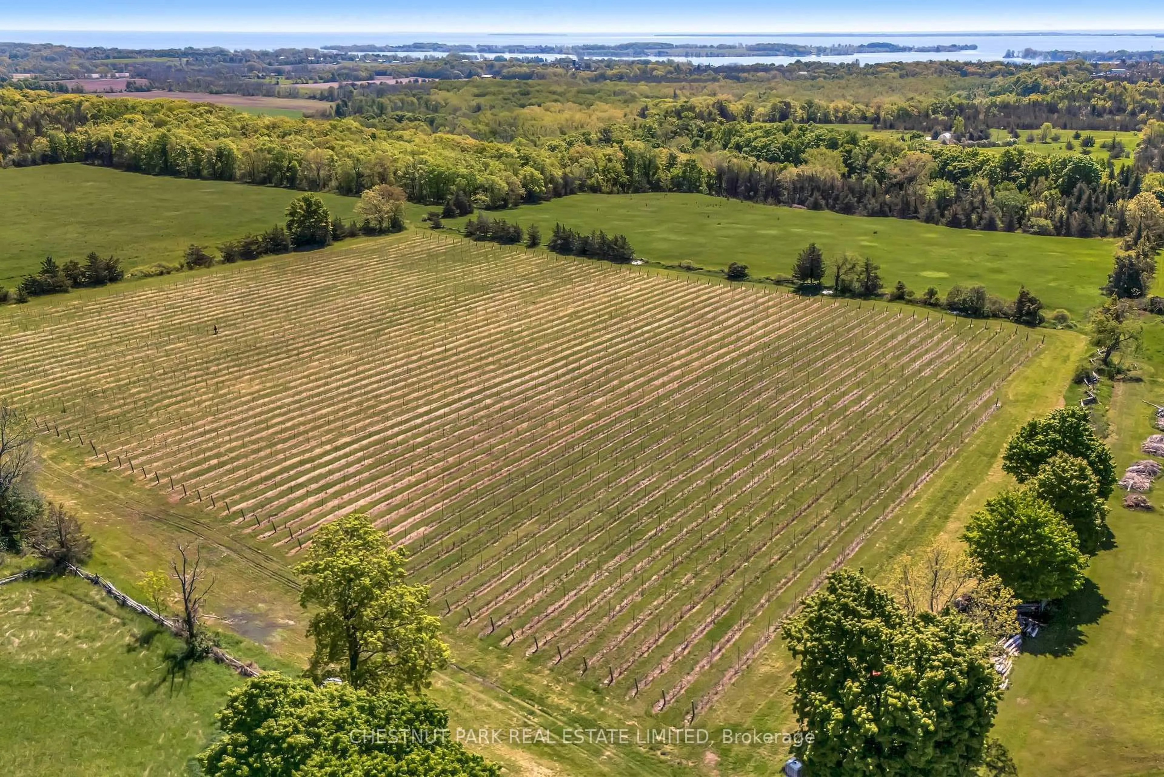 A pic from outside/outdoor area/front of a property/back of a property/a pic from drone, forest/trees view for 419 County Rd 25 N/A, Prince Edward County Ontario K0K 2T0