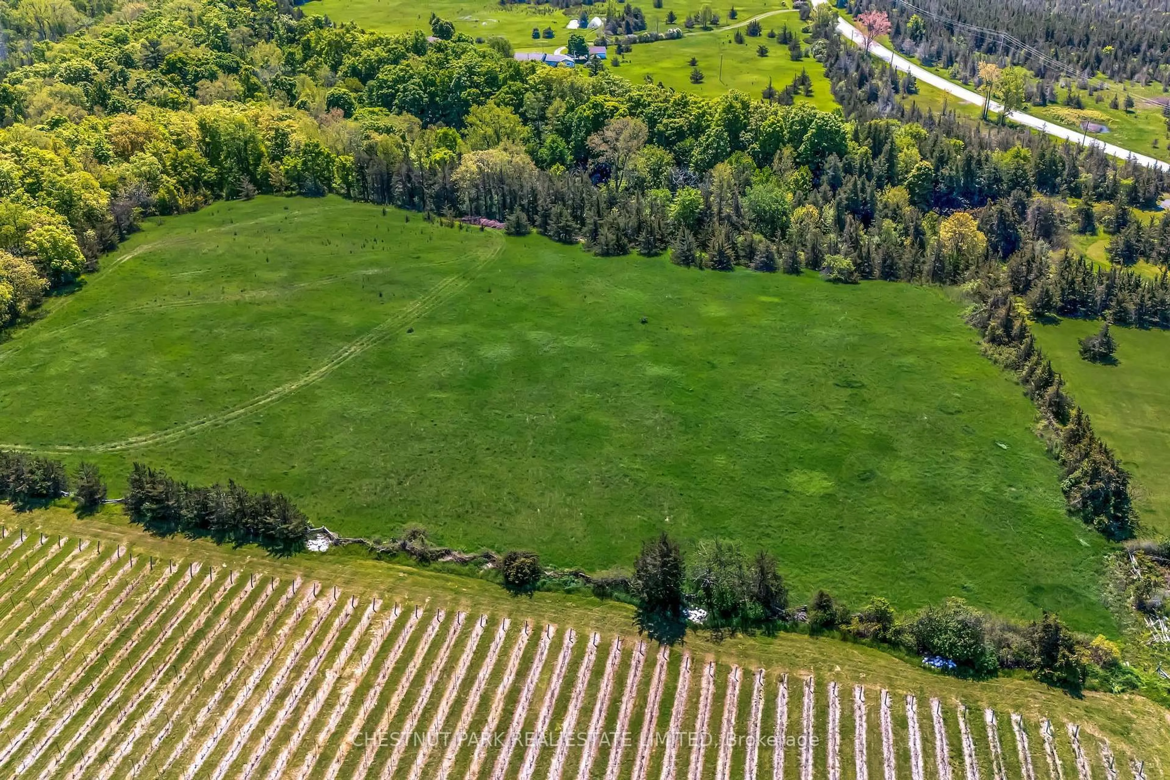 A pic from outside/outdoor area/front of a property/back of a property/a pic from drone, forest/trees view for 419 County Rd 25 N/A, Prince Edward County Ontario K0K 2T0