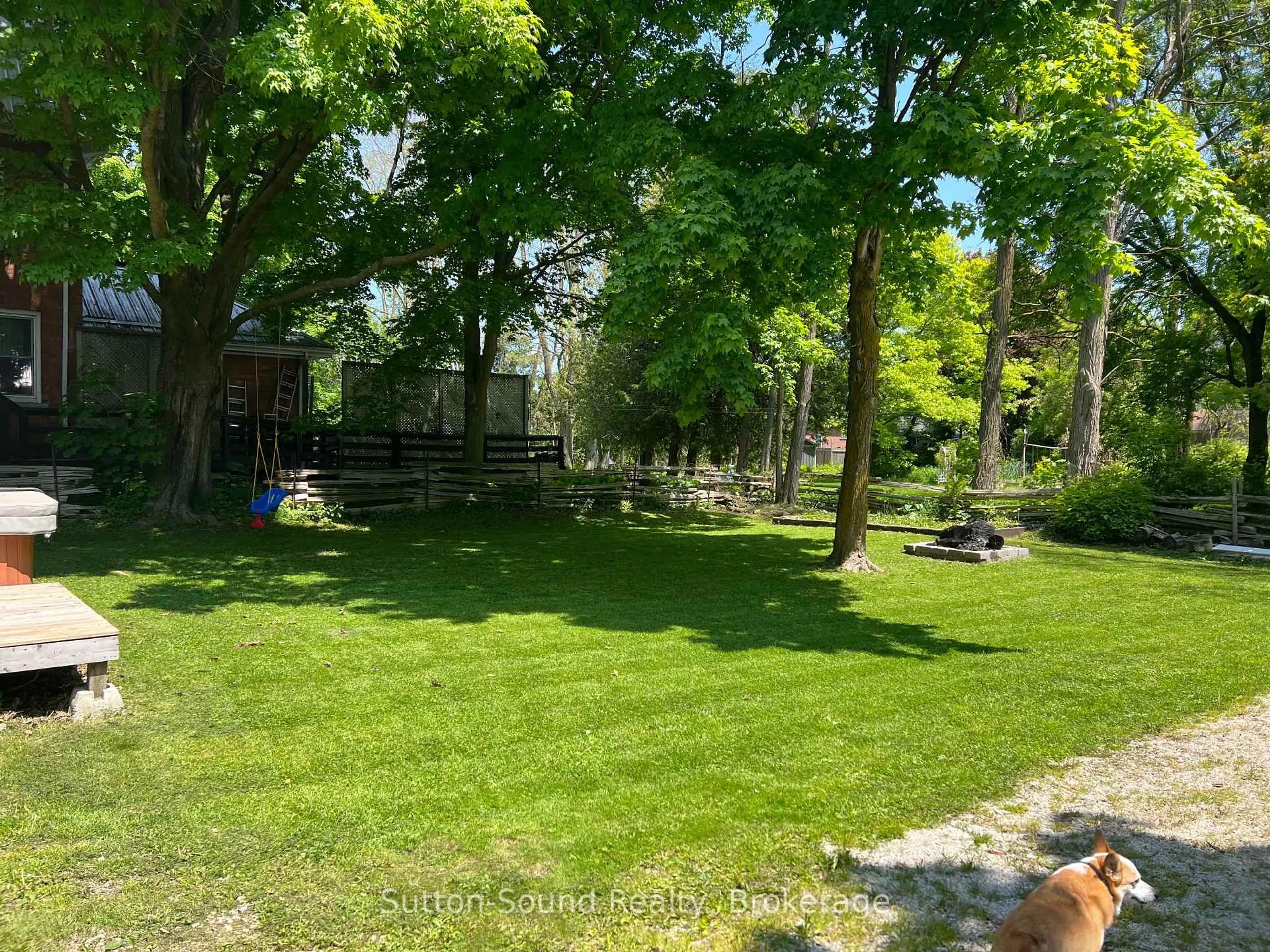 A pic from outside/outdoor area/front of a property/back of a property/a pic from drone, forest/trees view for 31 Yonge St, Arran-Elderslie Ontario N0H 2N0